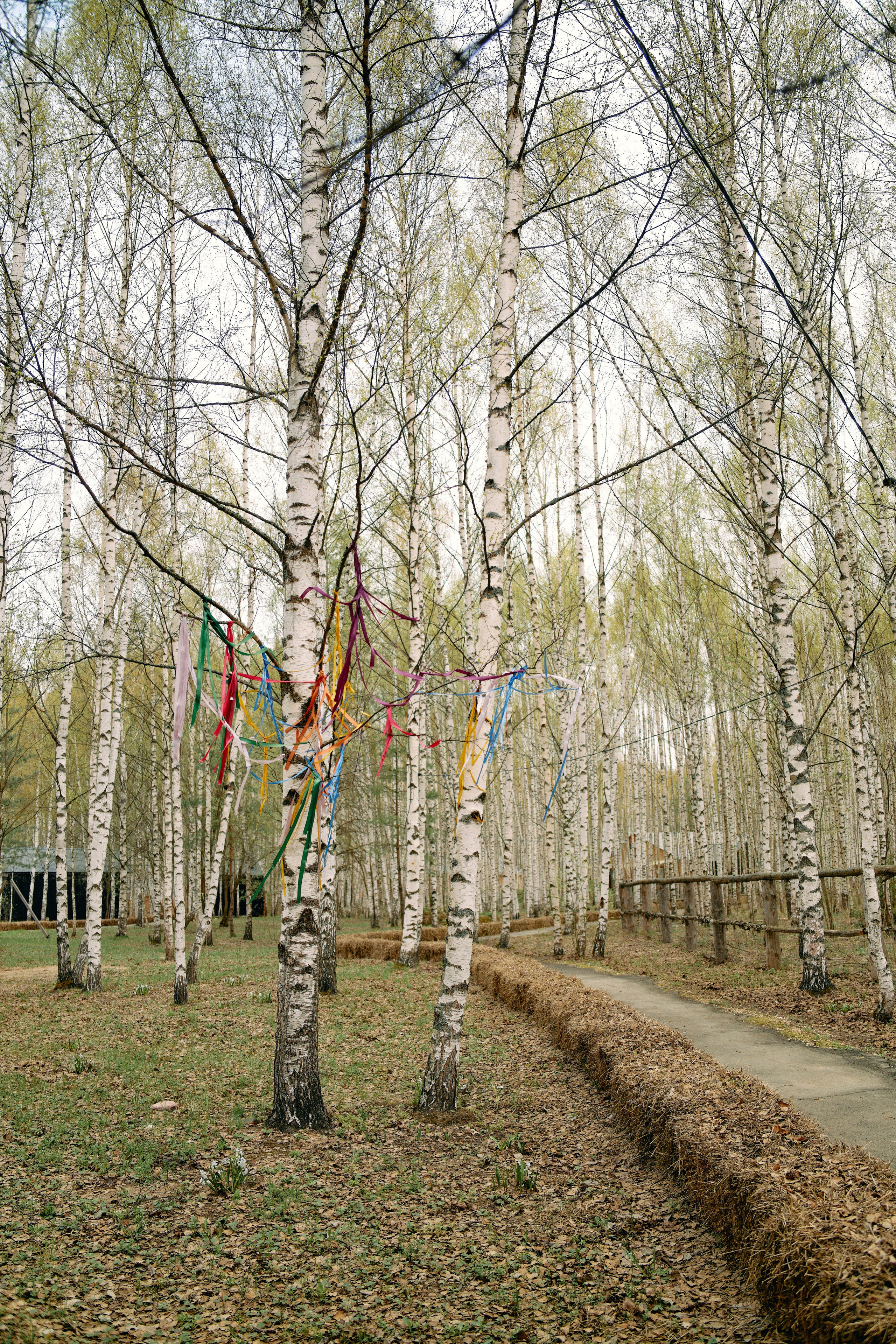 Бутик-отель Поле летом. Профессиональный Фотограф во Владимире, в Москве и в Суздале — Полина Романычева
