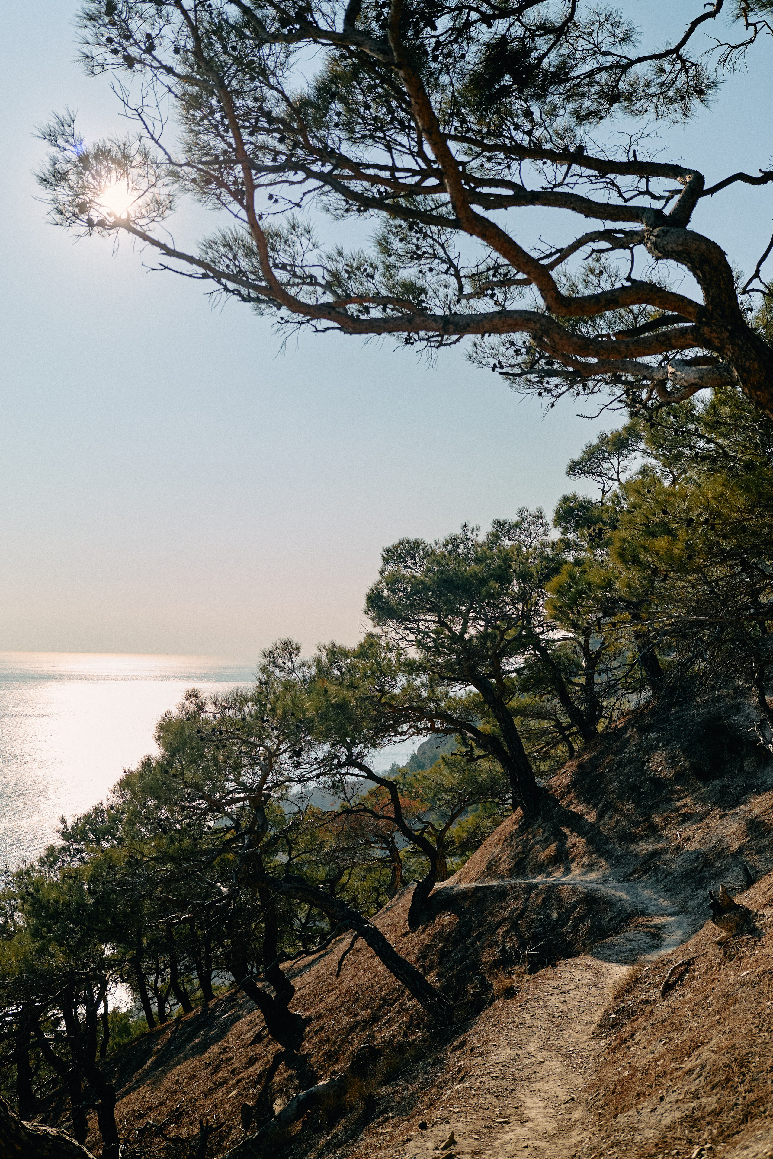Юг России. Профессиональный Фотограф во Владимире, в Москве и в Суздале — Полина Романычева