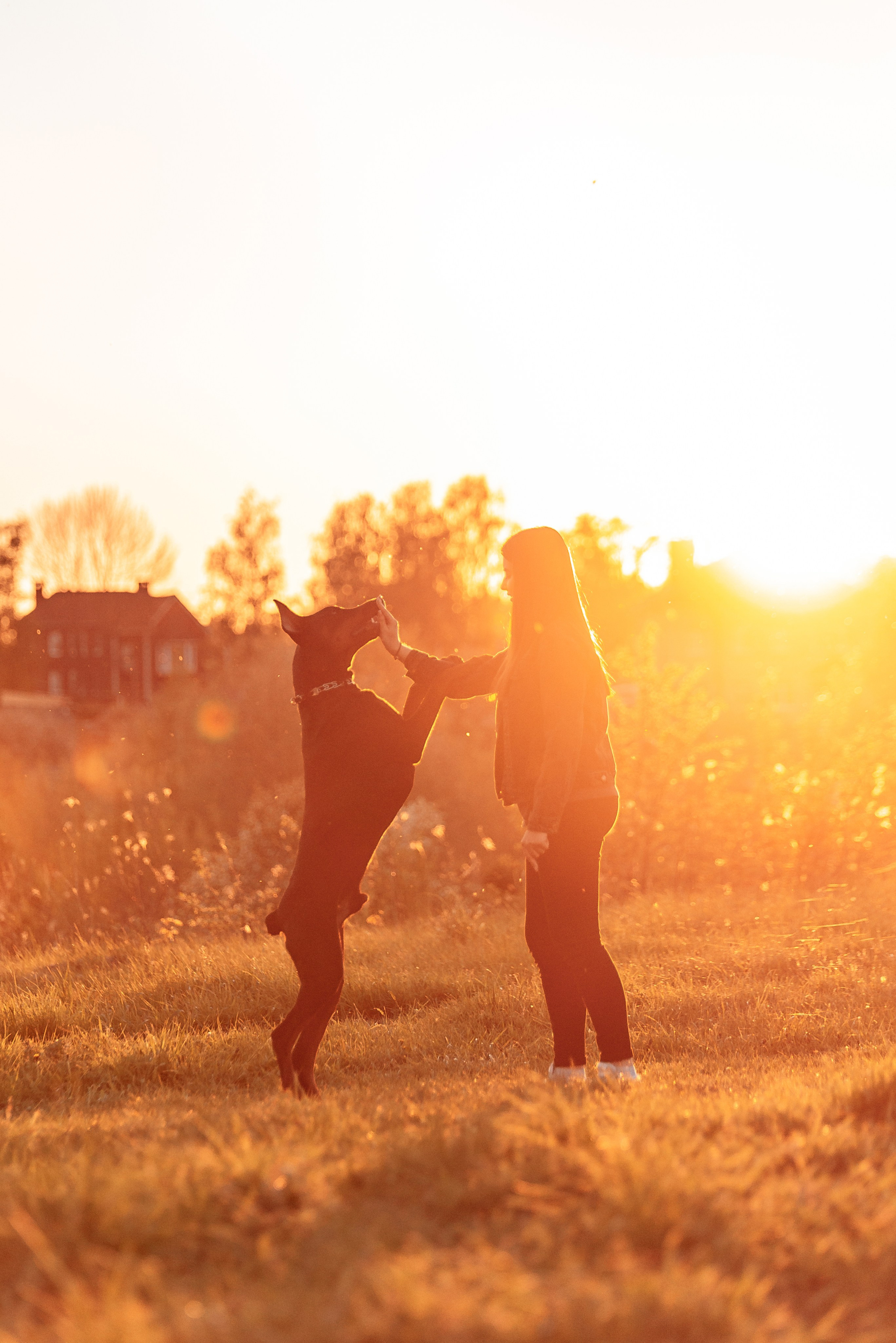 Юля, Андрей и Арес. Фотограф-анималист Анастасия Парфенова|Екатеринбург