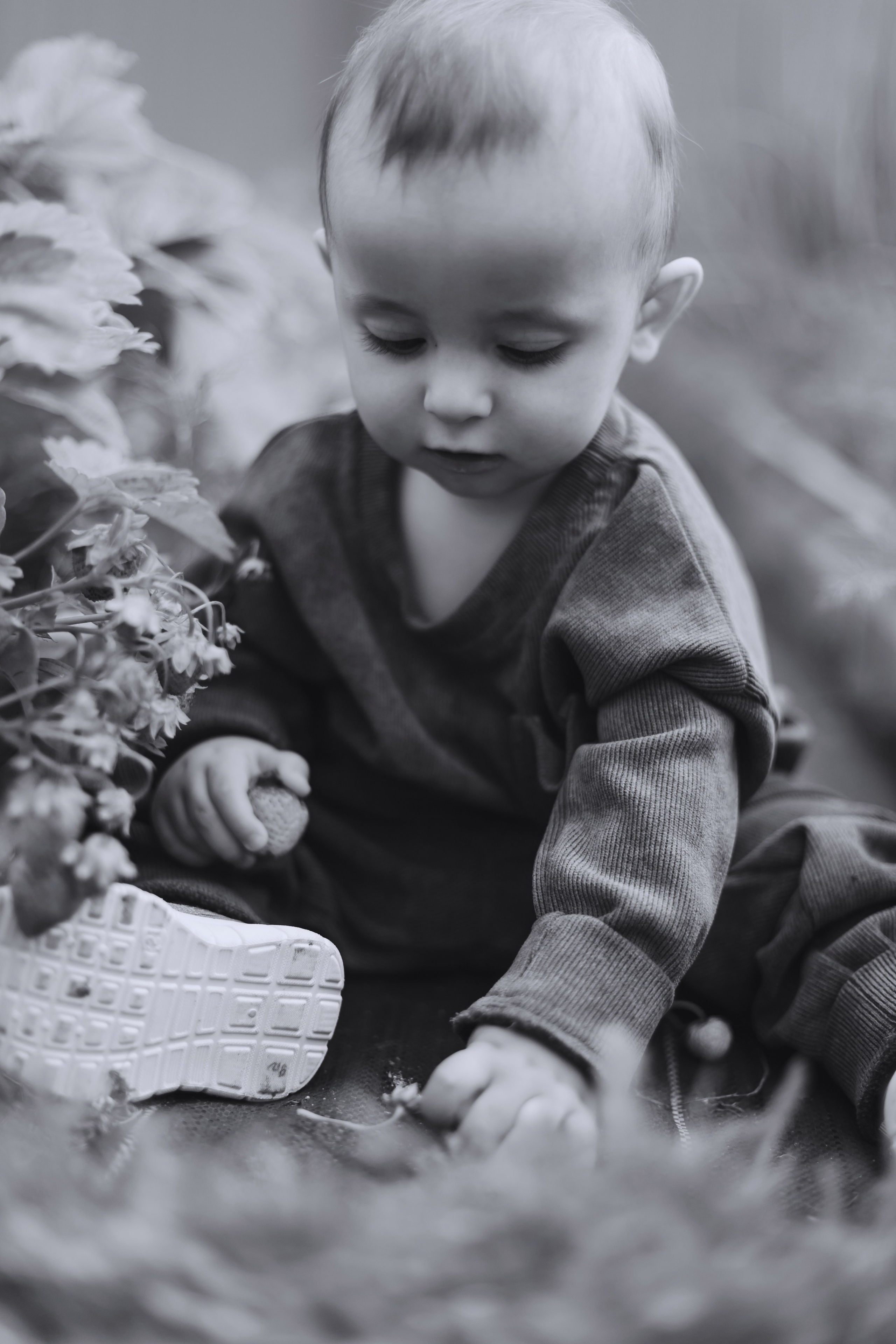 Большое Олино семейство. Профессиональный фотограф Надежда Антонова