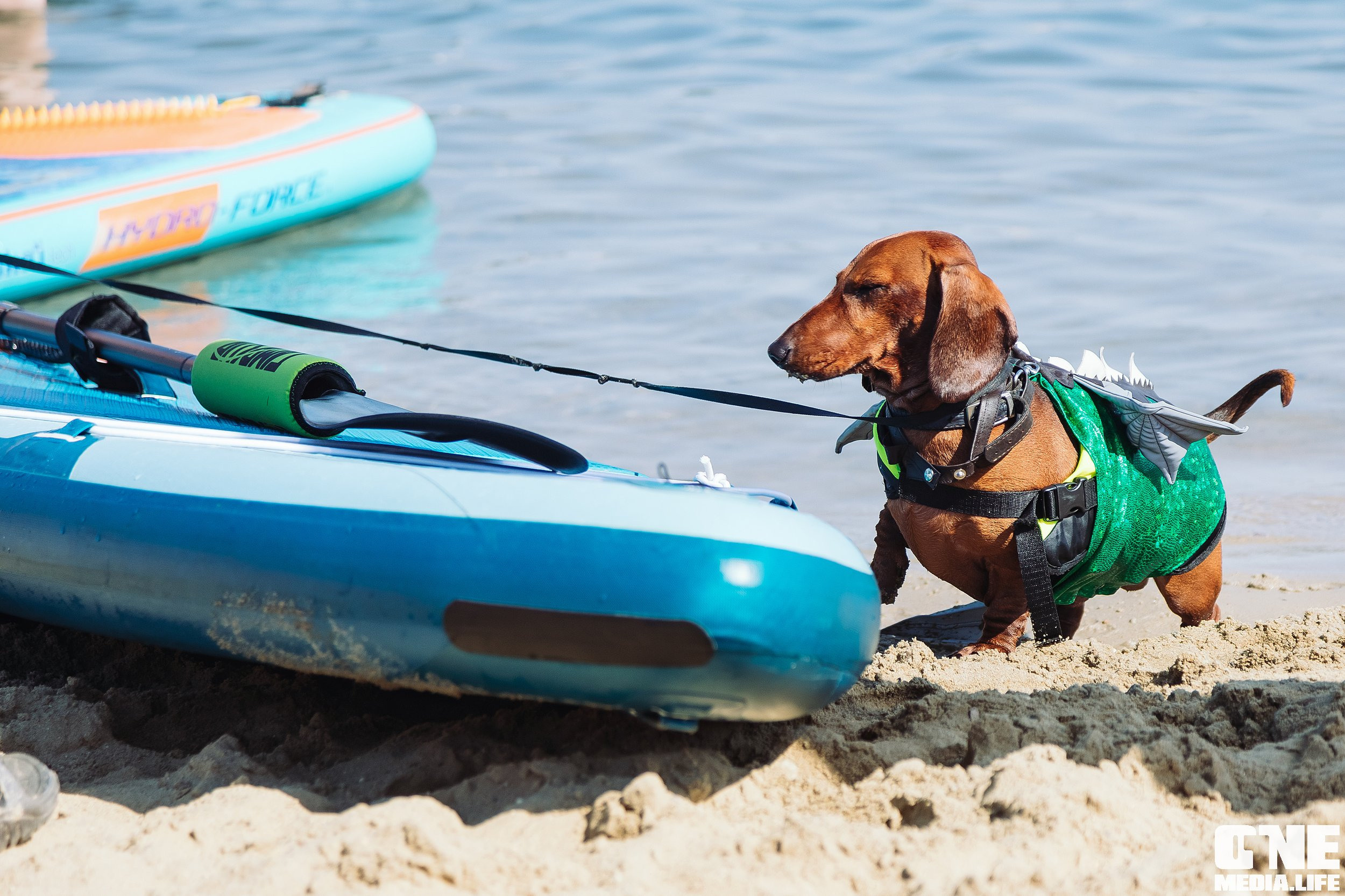 Фоторепортаж с соревнований DEEP WATER SUP Fest. One Media Life: фоторепортажи, фотоотчеты с мероприятий и заведений