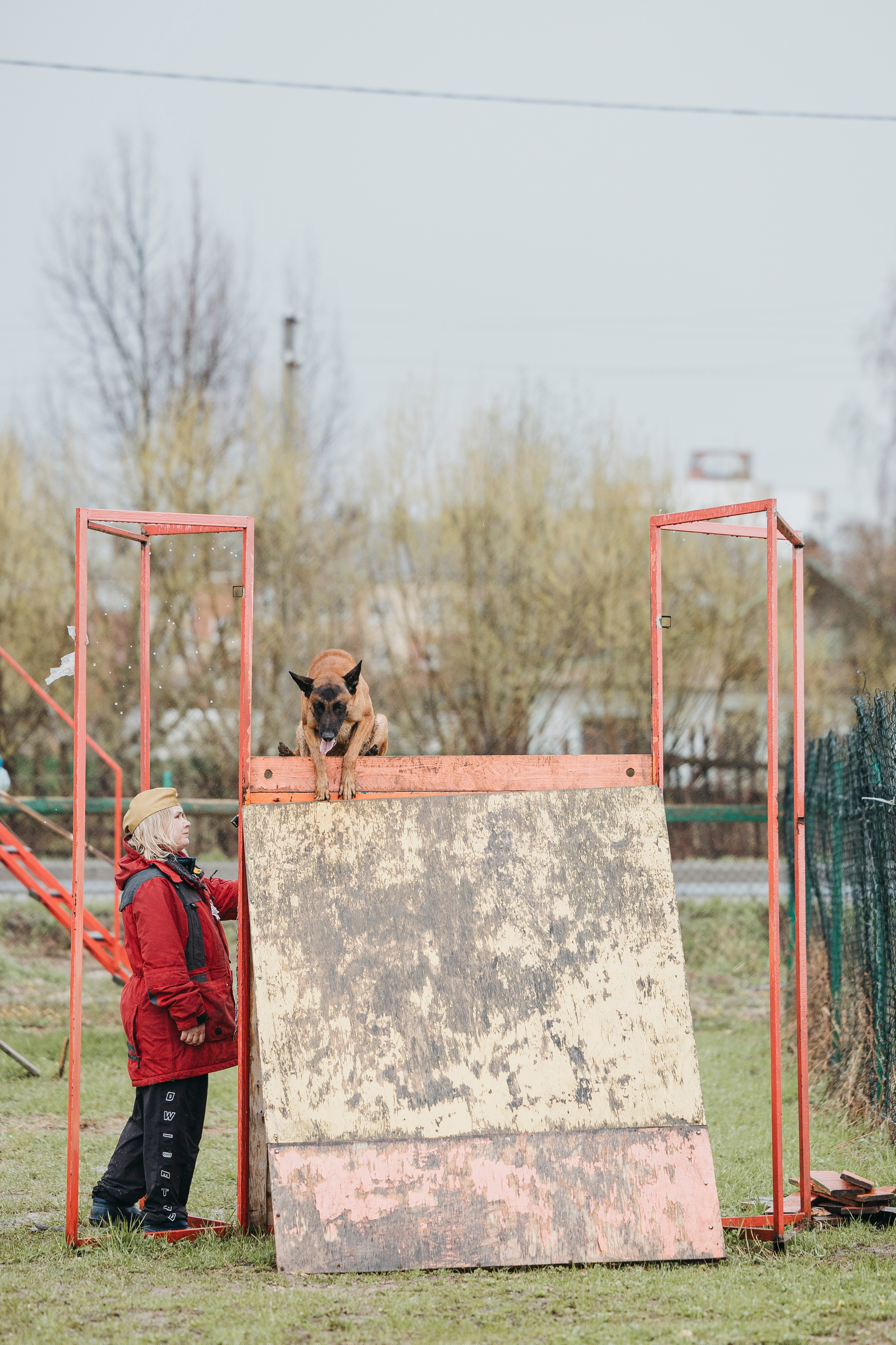 09.05.25 Вологда соревнования. Фотограф-анималист Анна Маринич