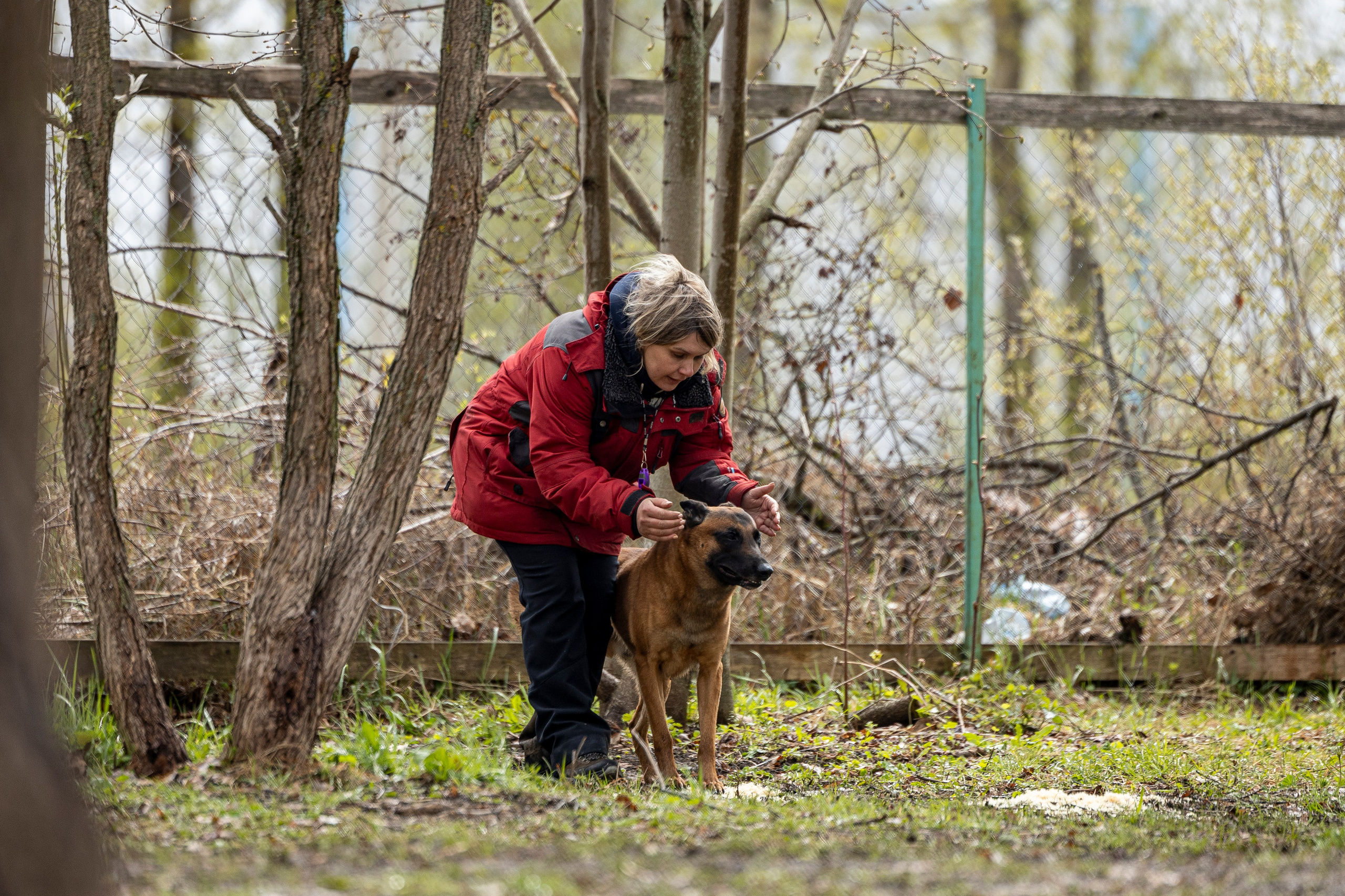Квалификационные состязания по мондьорингу г. Вологда 11.05.24. Фотограф-анималист Анна Маринич