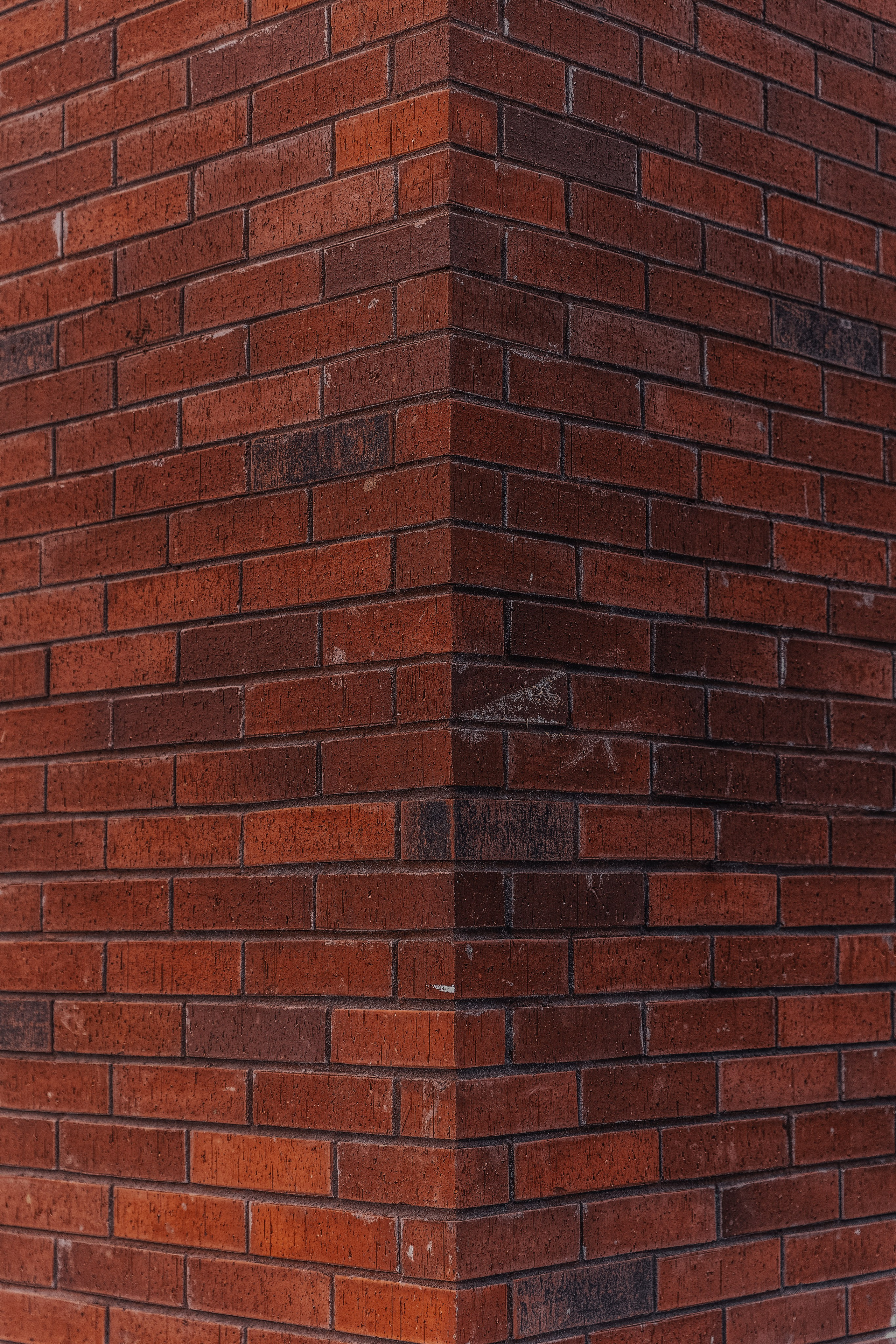 БИЗНЕС КОНТЕНТ. Портфолио свадебного фотографа. Роман Каргаполов