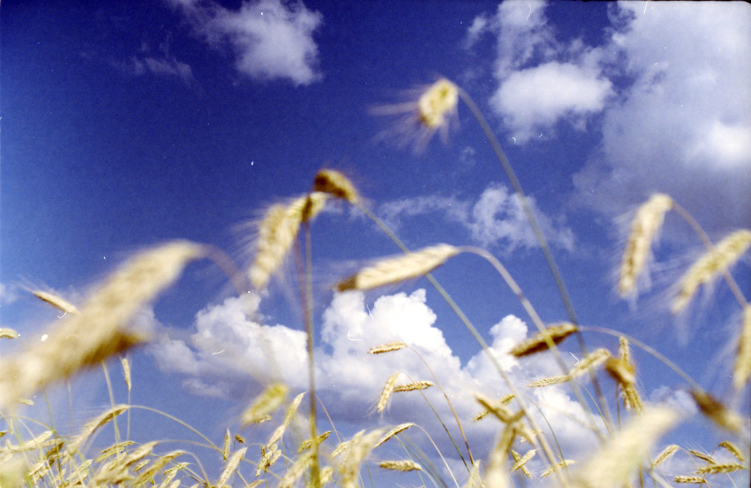 Spaces and faces 2013-∞. Наталья Рутова