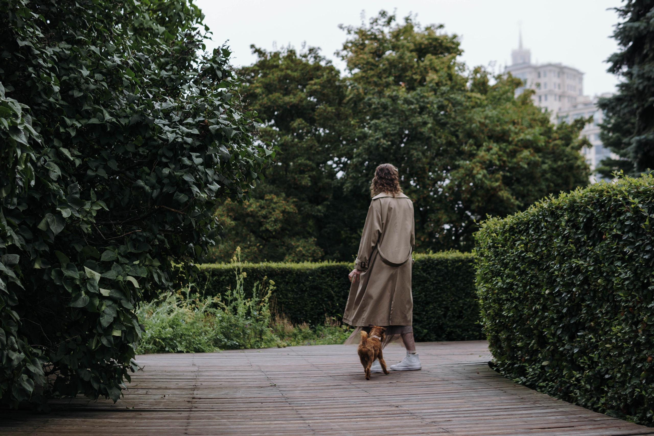 Наташа, Сережа и Хавьер. Фотограф-анималист Ксения Воробьева, Москва