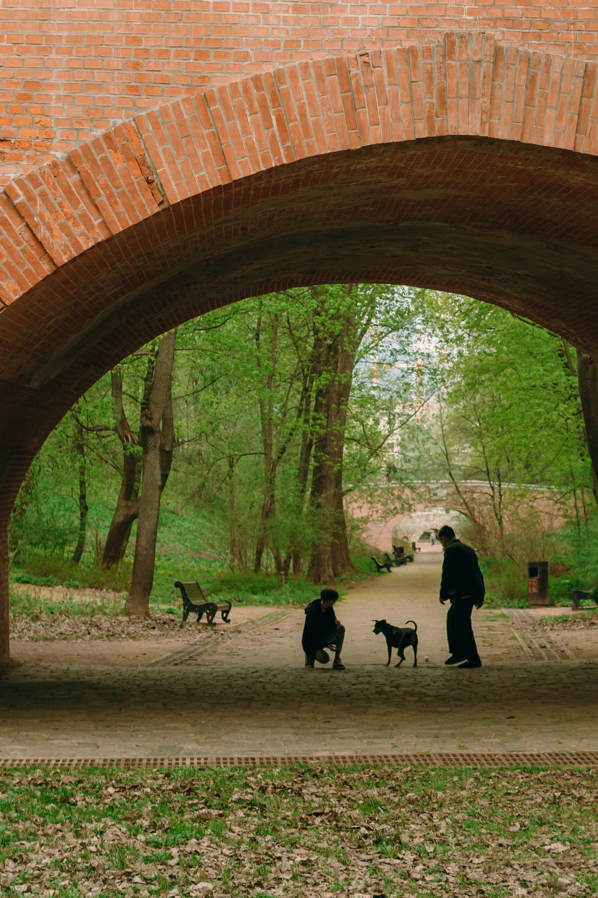 Кира, Максим и Аскара. Фотограф-анималист Ксения Воробьева, Москва