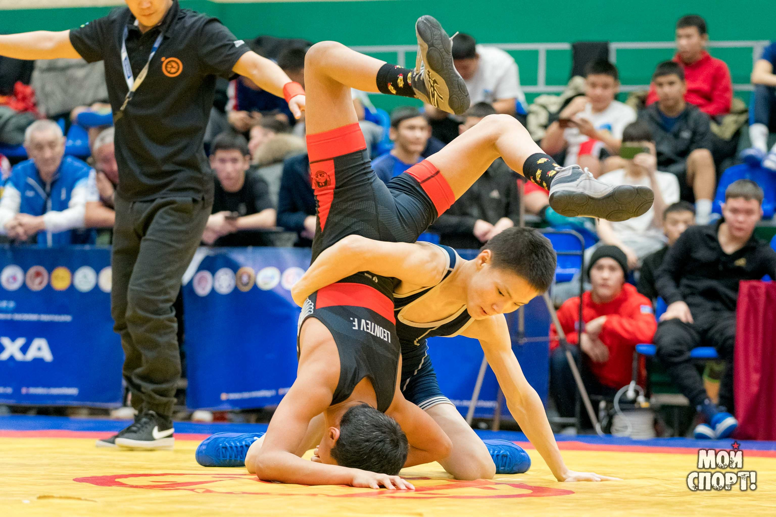 Первенство РС (Я) по греко-римской борьбе пам. Д. Г. Максимова. Студия «Мой Спорт!» — все о спорте в Якутии