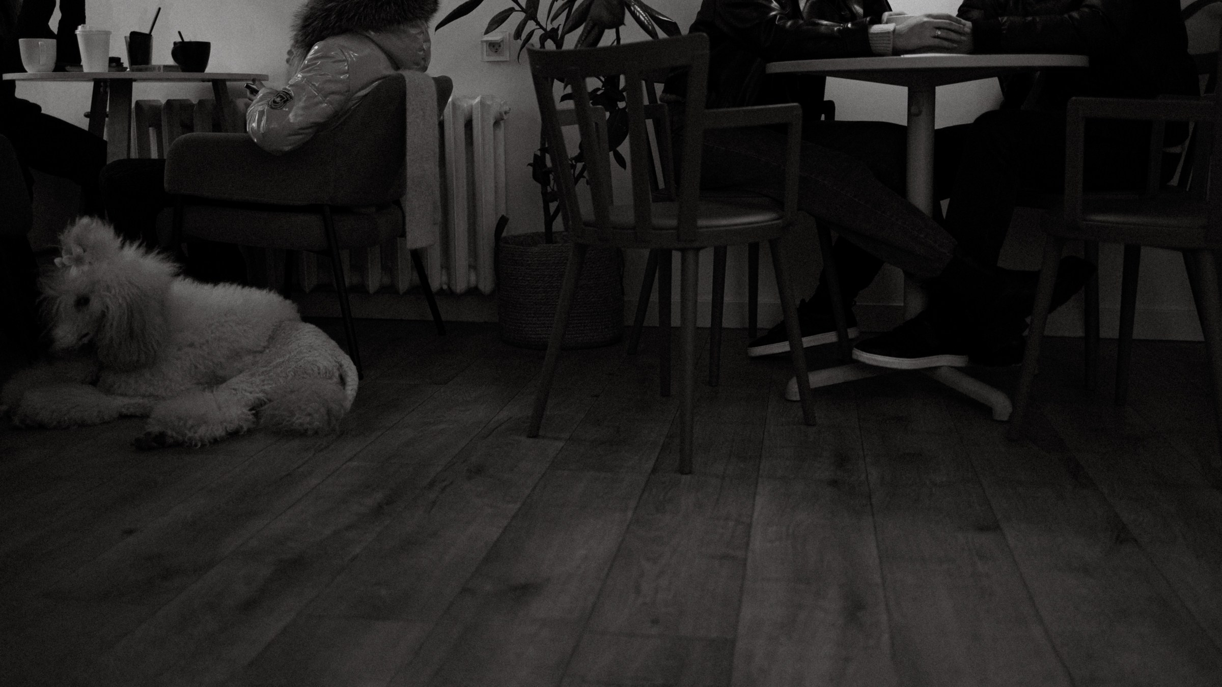 Ведется видеонаблюдение. Фотограф Daria Wilner