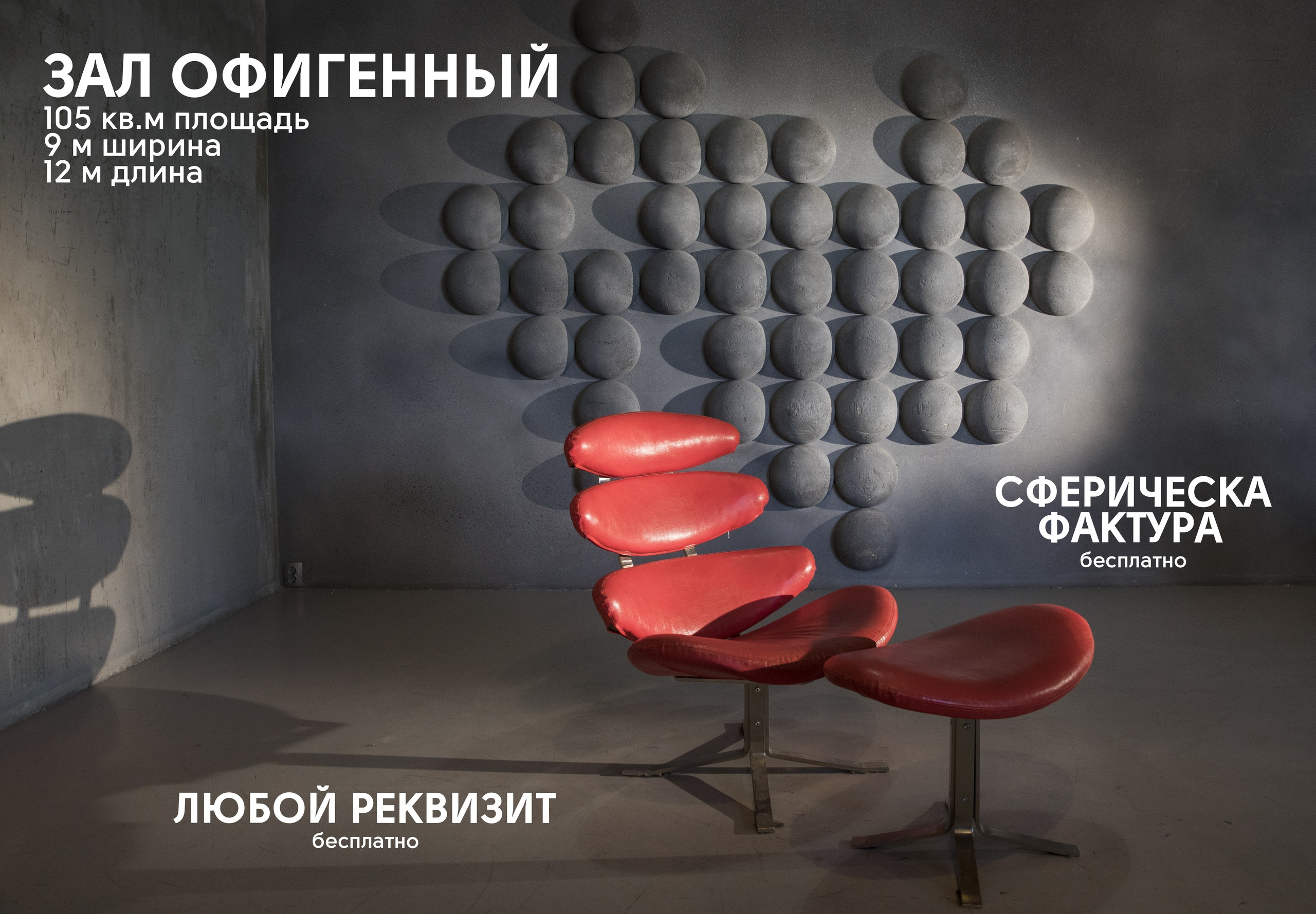 Зал ОФИГЕННЫЙ. Фотограф Герман Локоцкий, семейные фотосессии в Санкт-Петербурге