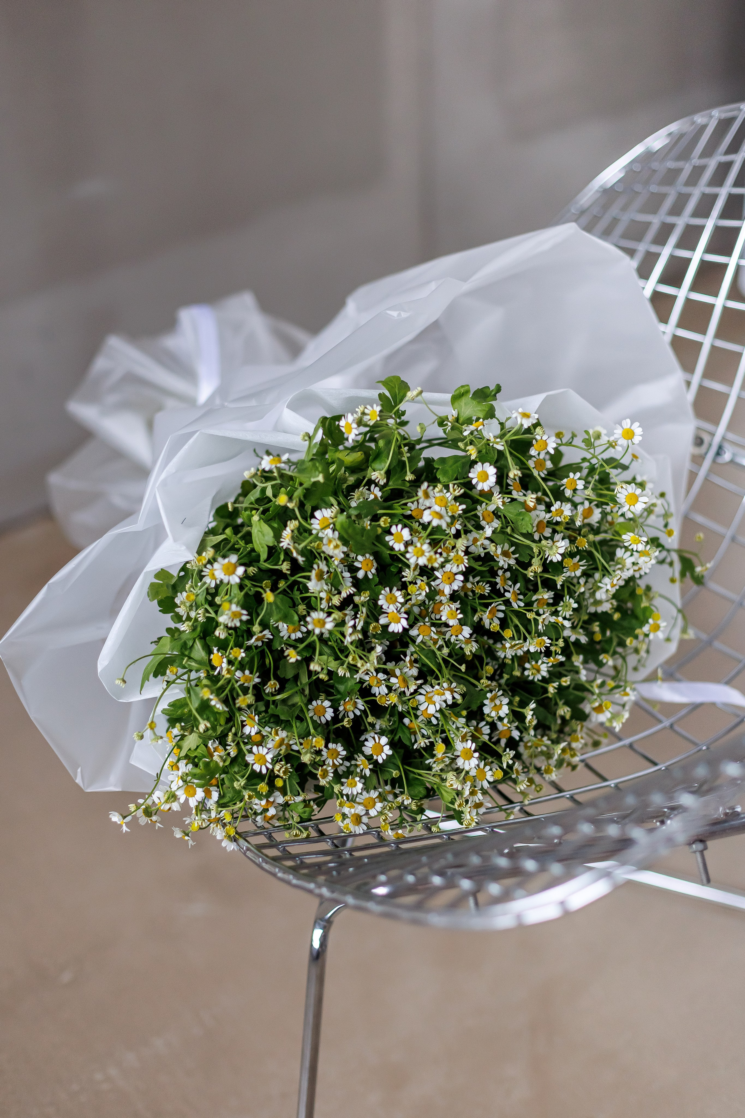 Каталоги. Фотограф в Москве Базанова Дарья