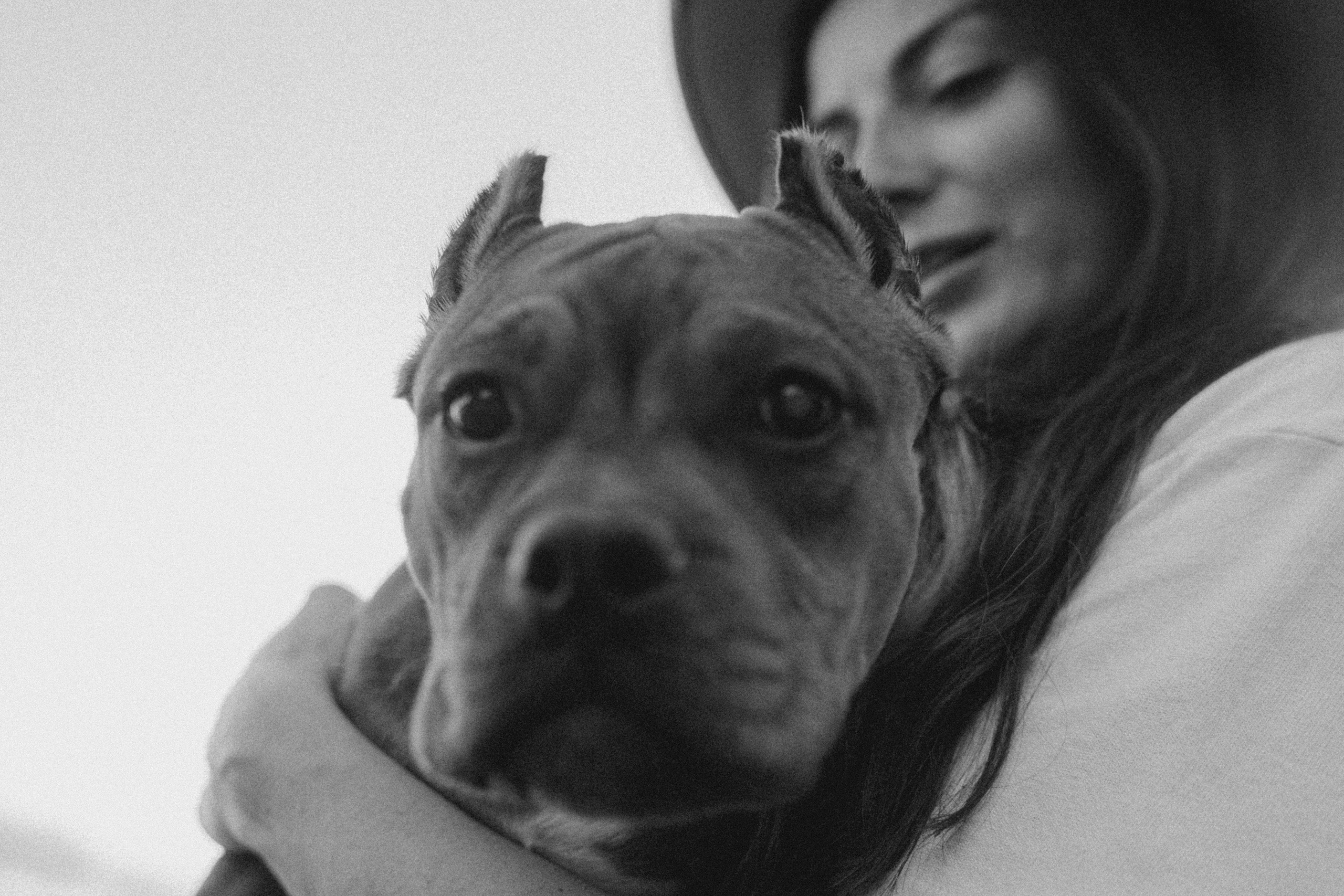 Кристина и Эфи. Фотограф анималист в Москве и Санкт-Петербурге Свиридова Анна