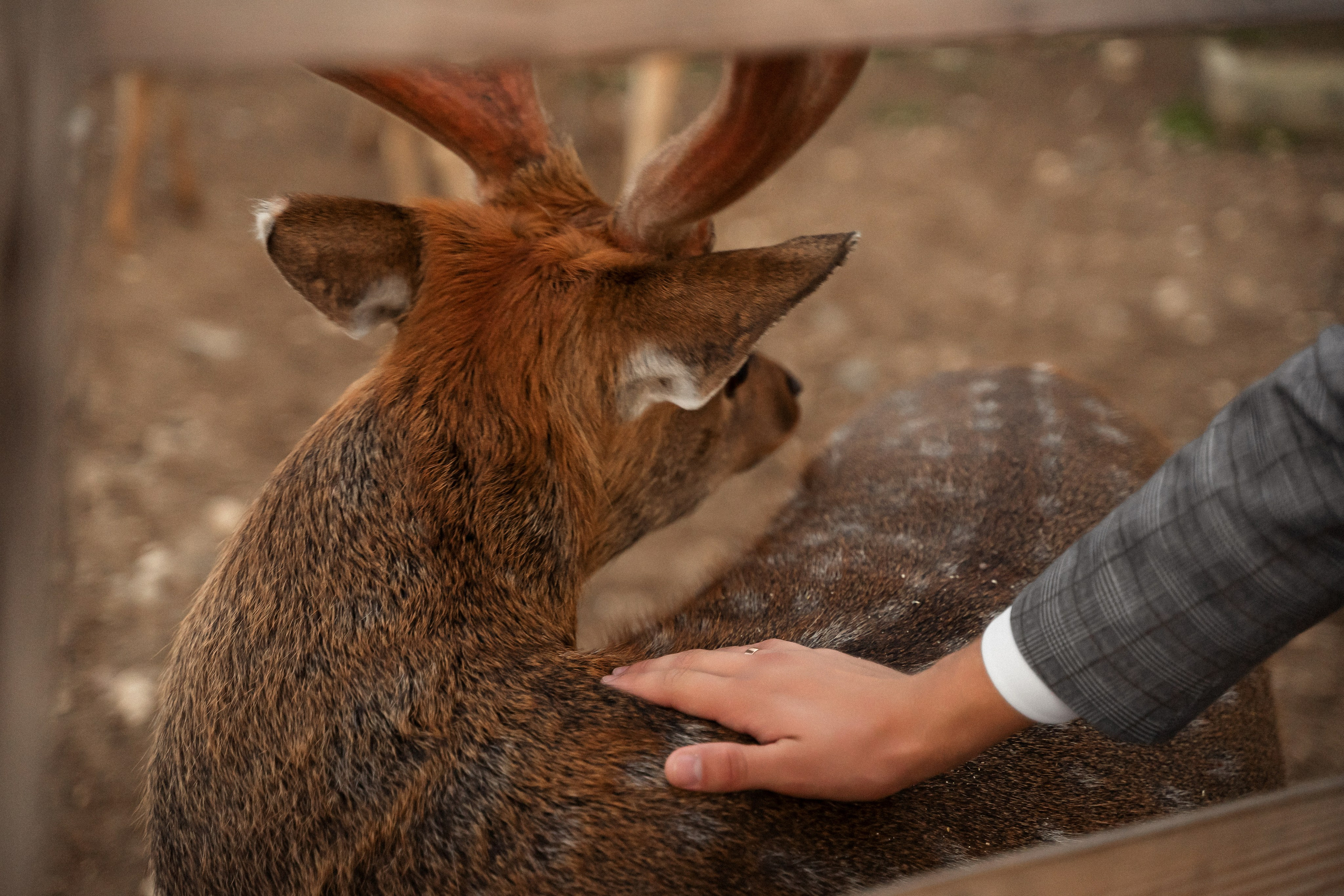Алина и Сергей. Фотограф Алина Филимонова Тверь
