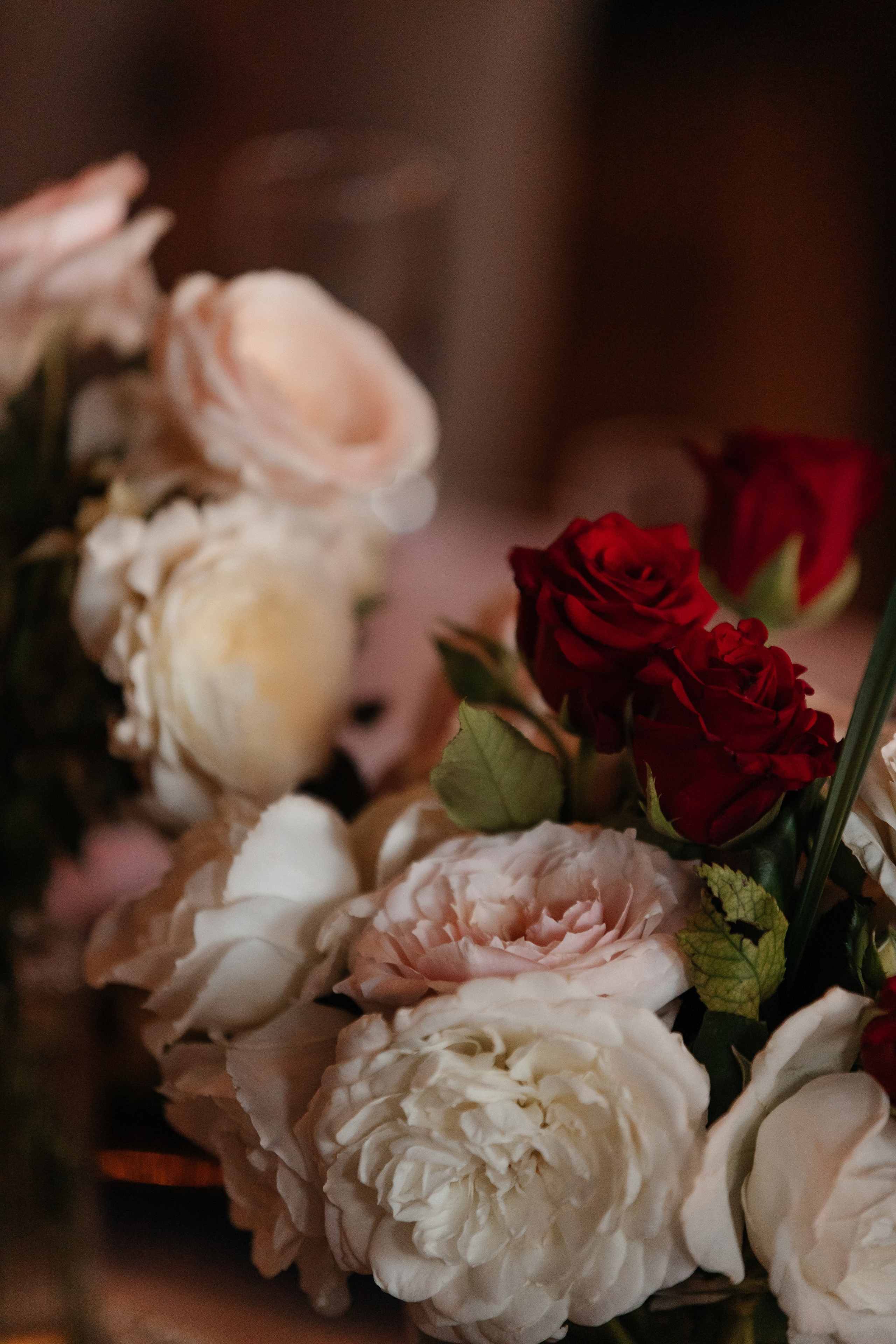 И&И. Фотограф Таганрог Хребет София