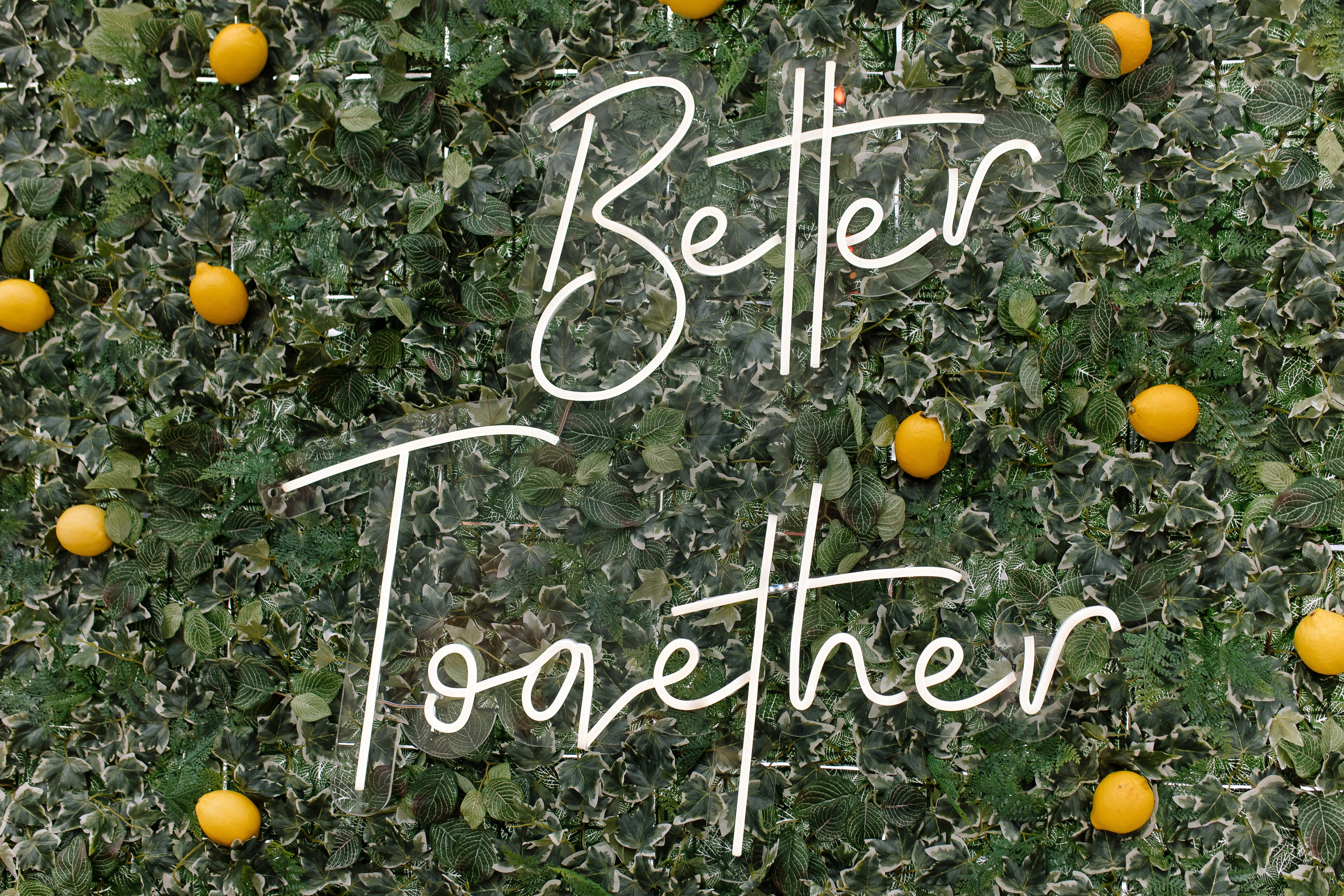 Vasya/Nastya. Свадебный фотограф Павел Князев