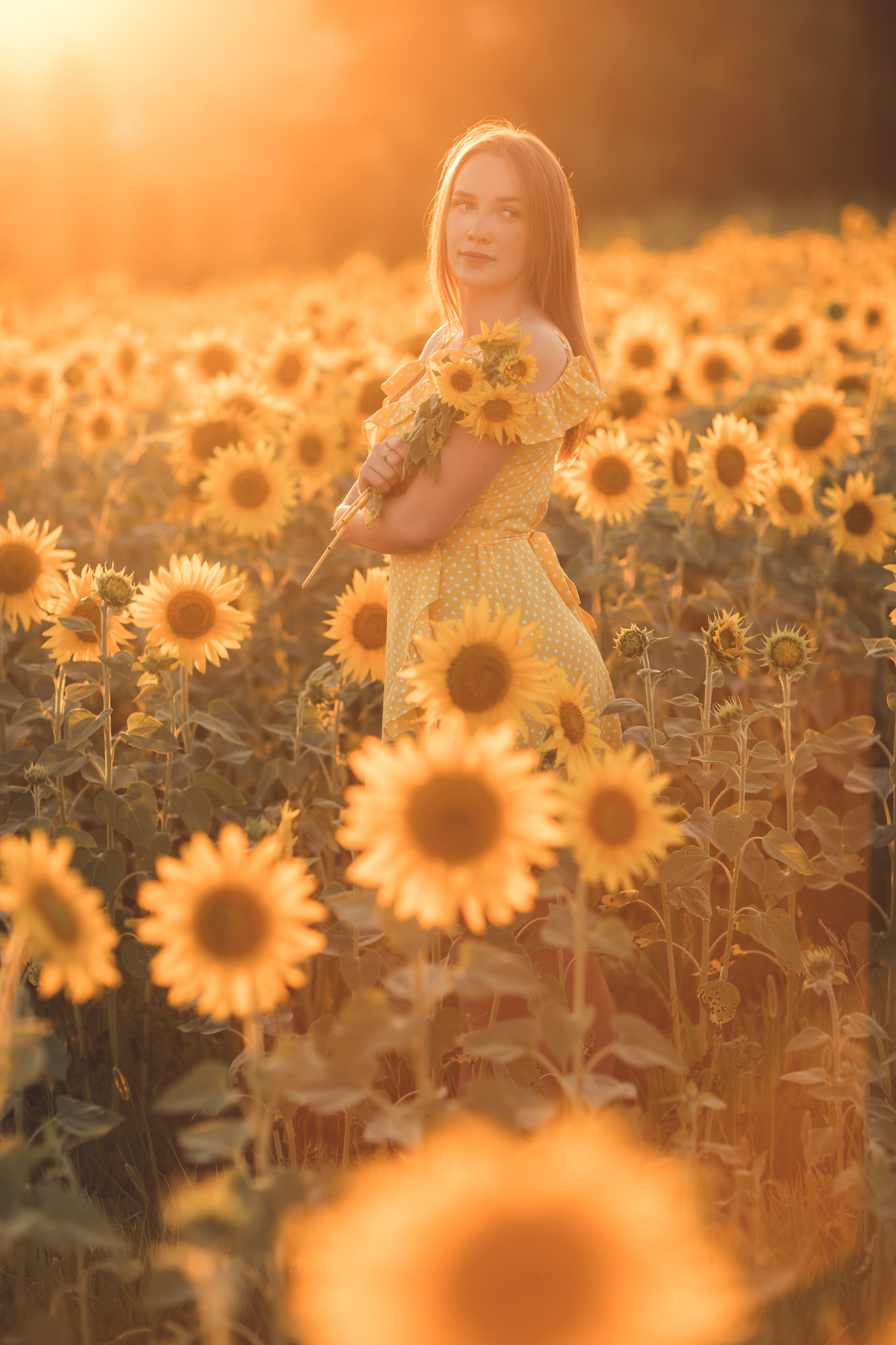 Подсолнухи. Семейный и детский фотограф Краснодар Валерия Власенко