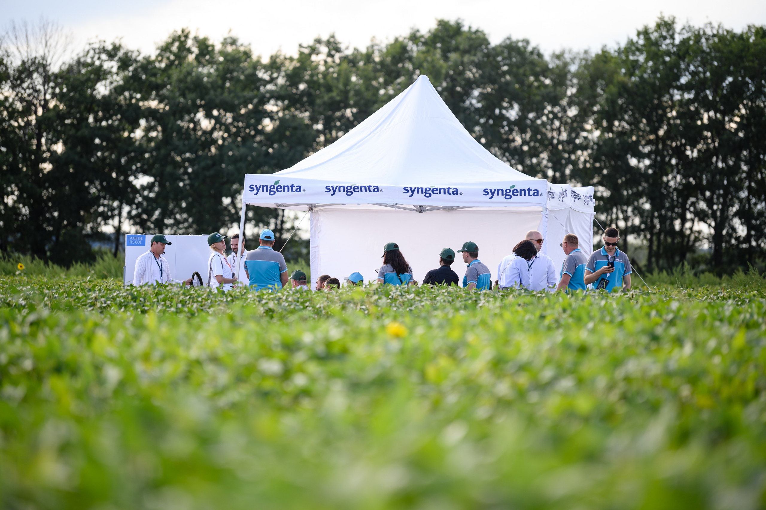 Проекты. Профессиональный фотограф Вячеслав Плацында | Липецк |