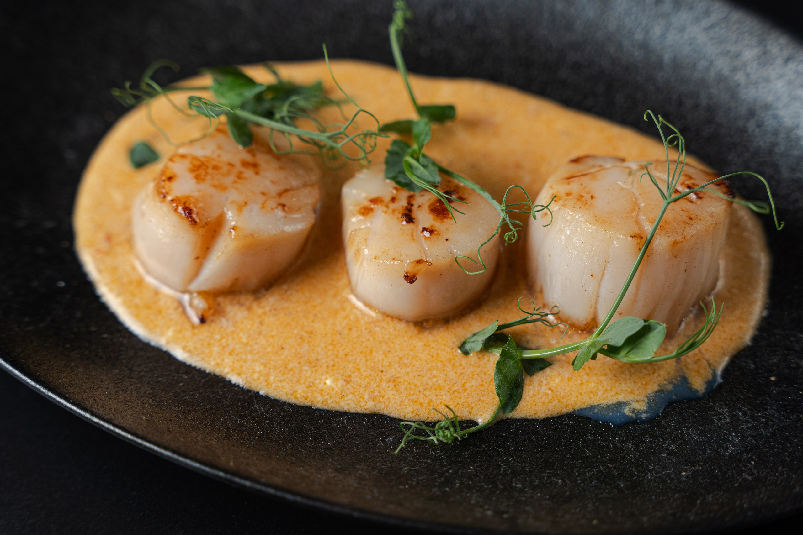 Шоколадница. Фотограф Хабаровск