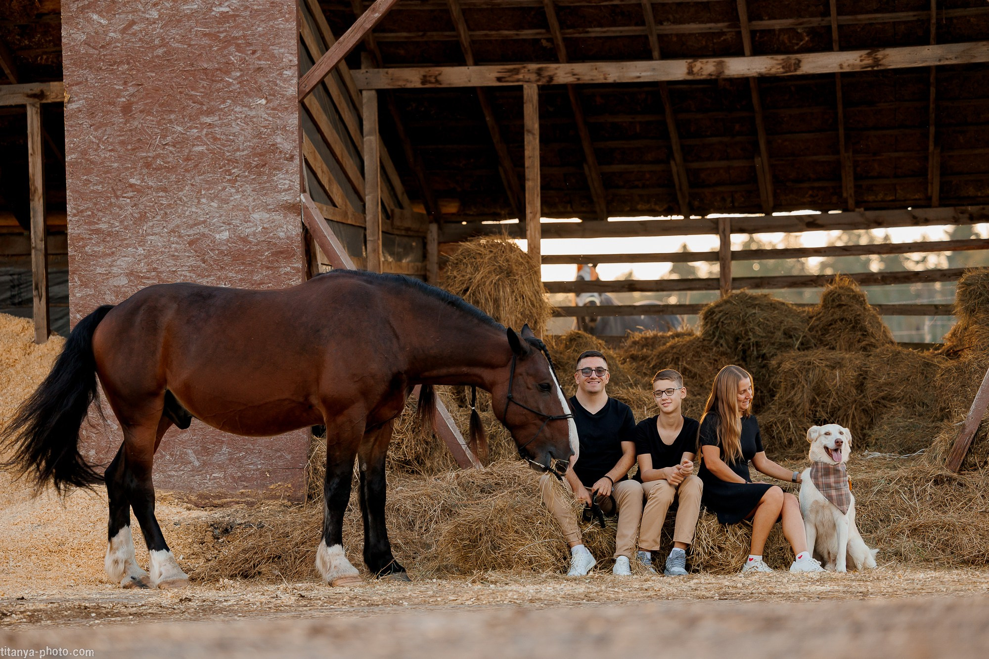 Закатная семейная фотосессия: про Настю и её дружную семью. Фотограф собак, фотограф-анималист Аня Титова (Titanya). Москва