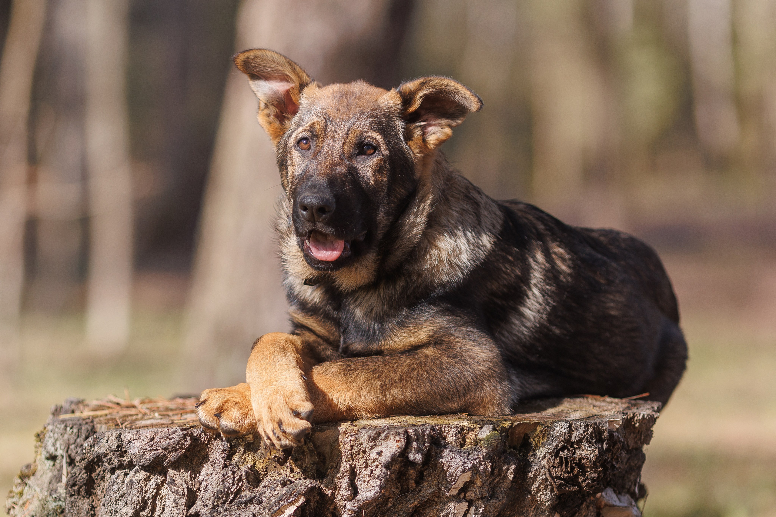 Репортажный фотограф Борис Геер