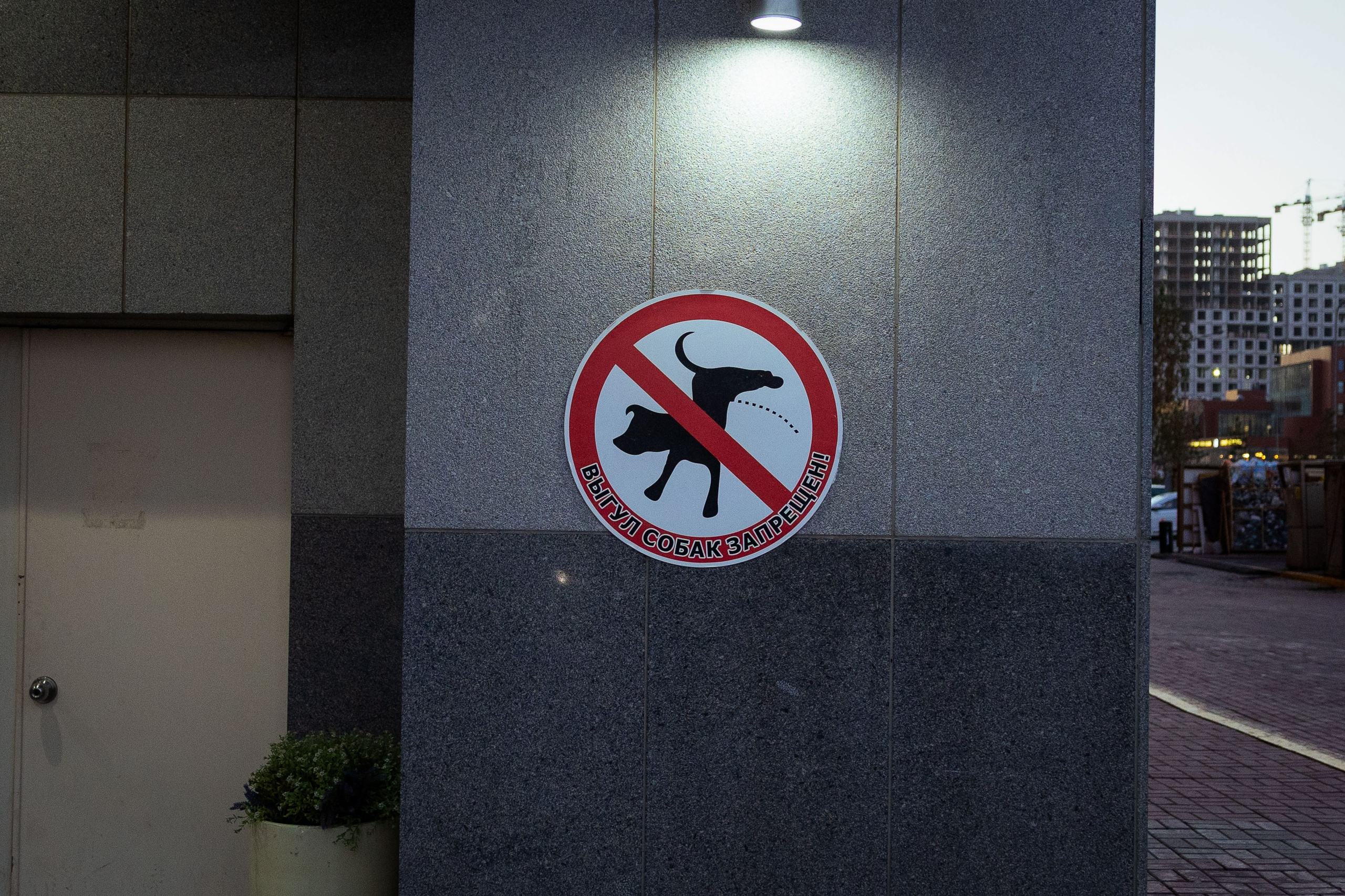 Казахстан (осень 2024). Фотограф Виноградов Константин