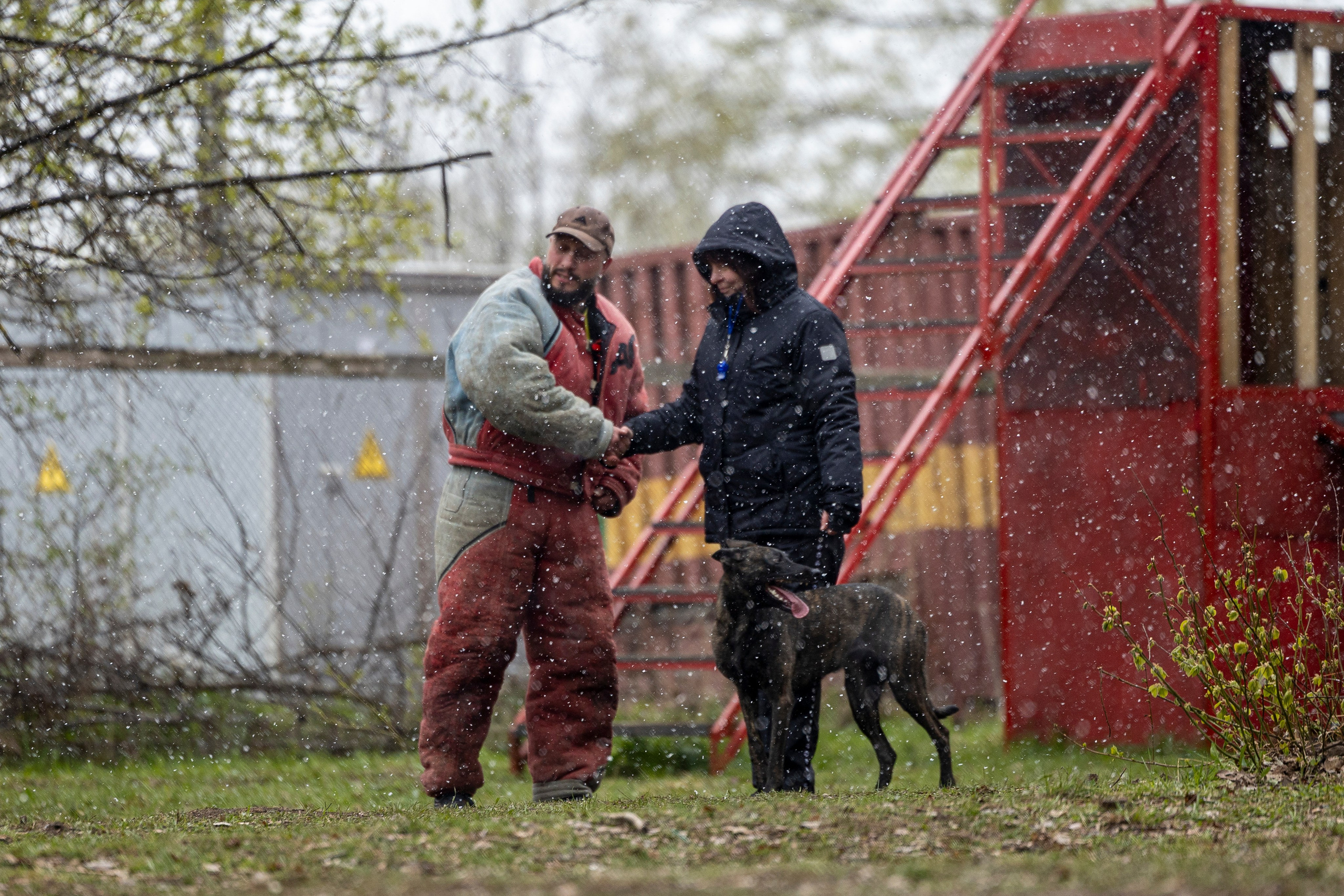 Квалификационные состязания по мондьорингу г. Вологда 11.05.24. Фотограф-анималист Анна Маринич