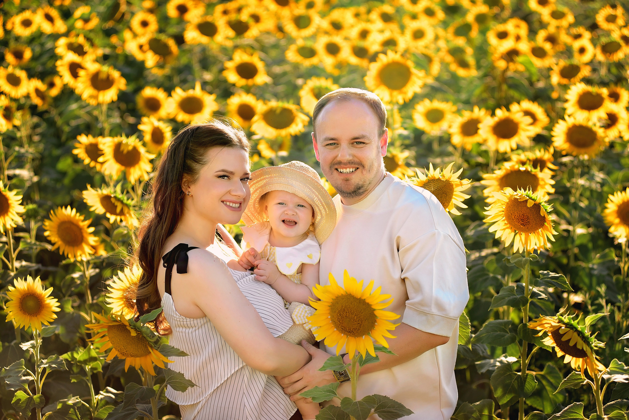 Подсолнухи. Главная