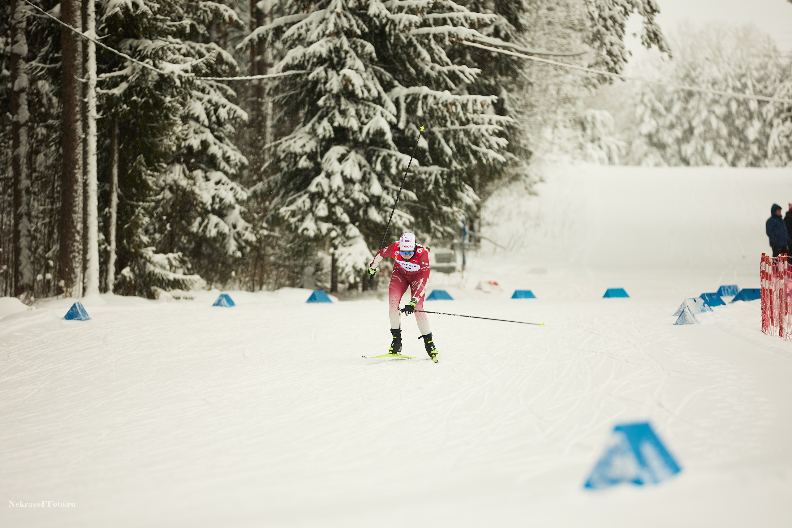 Кубок России по Лыжным гонкам. Спортивный фотограф Некрасов Денис