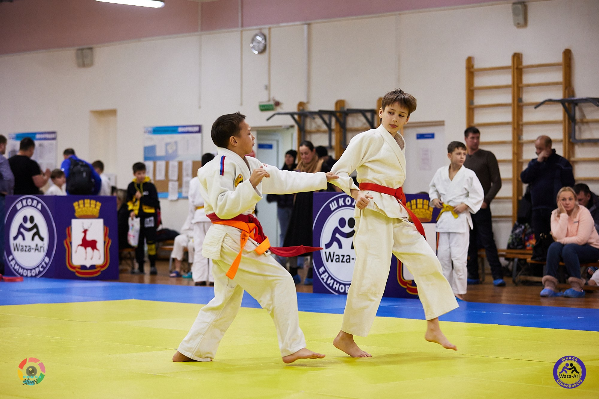 Репортаж Турнир по дзюдо. Спортивный фотограф Некрасов Денис