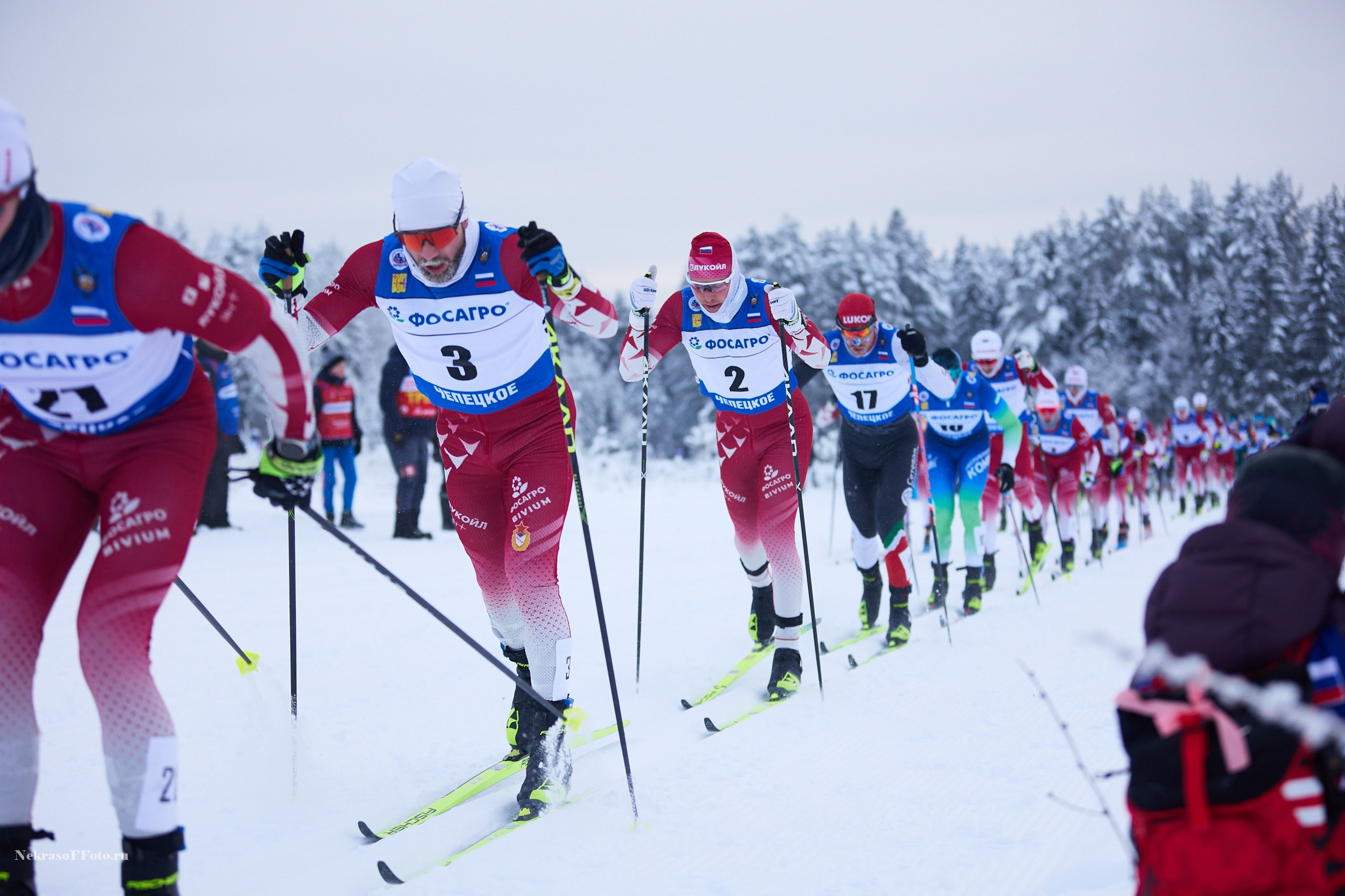 Кубок России по Лыжным гонкам. Спортивный фотограф Некрасов Денис