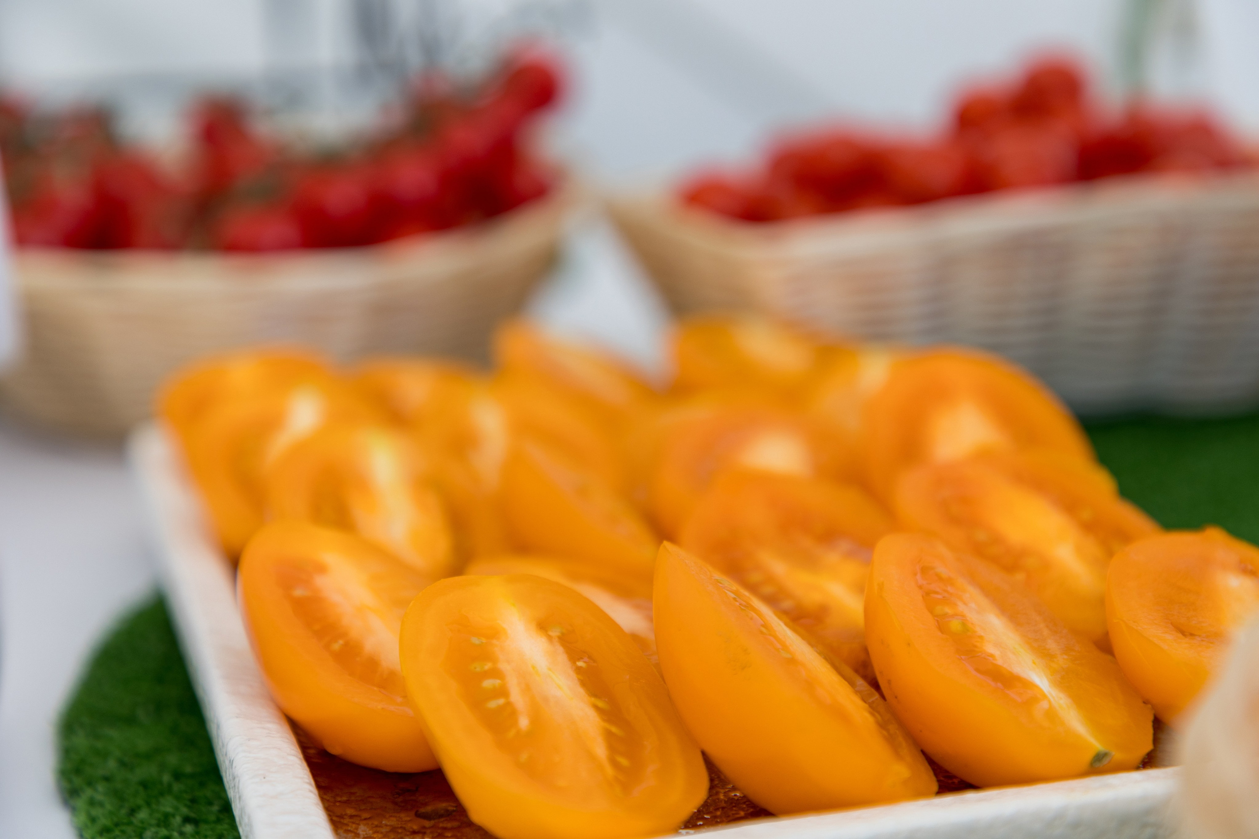 Воронеж Агро-Первый камень. Владислав Волков | Фотография и видеосъемка в Воронеже