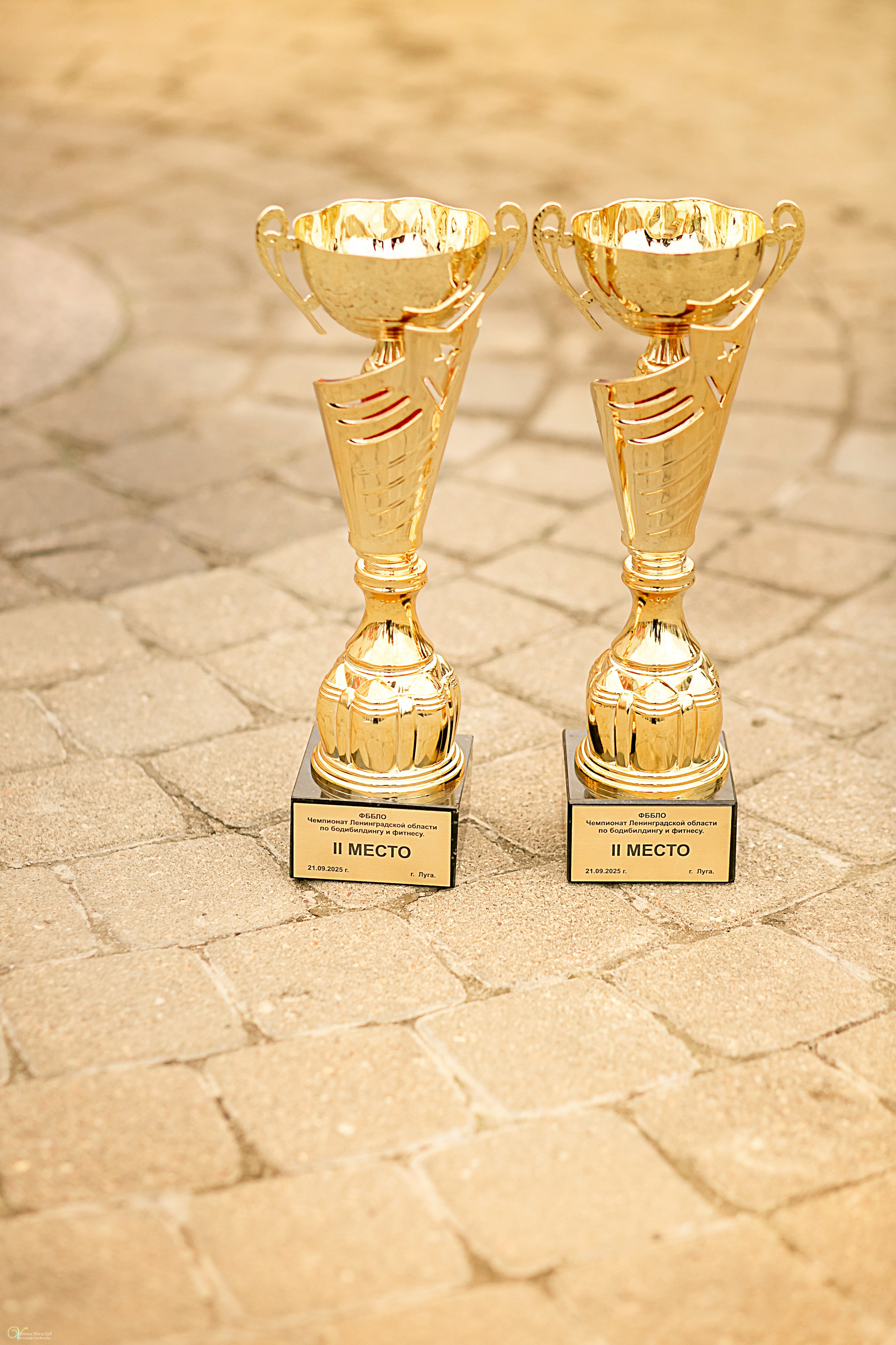 Чемпионат по Бодибилдингу 2025 Луга. Фотограф женский и мужской портрет Санкт-Петербург