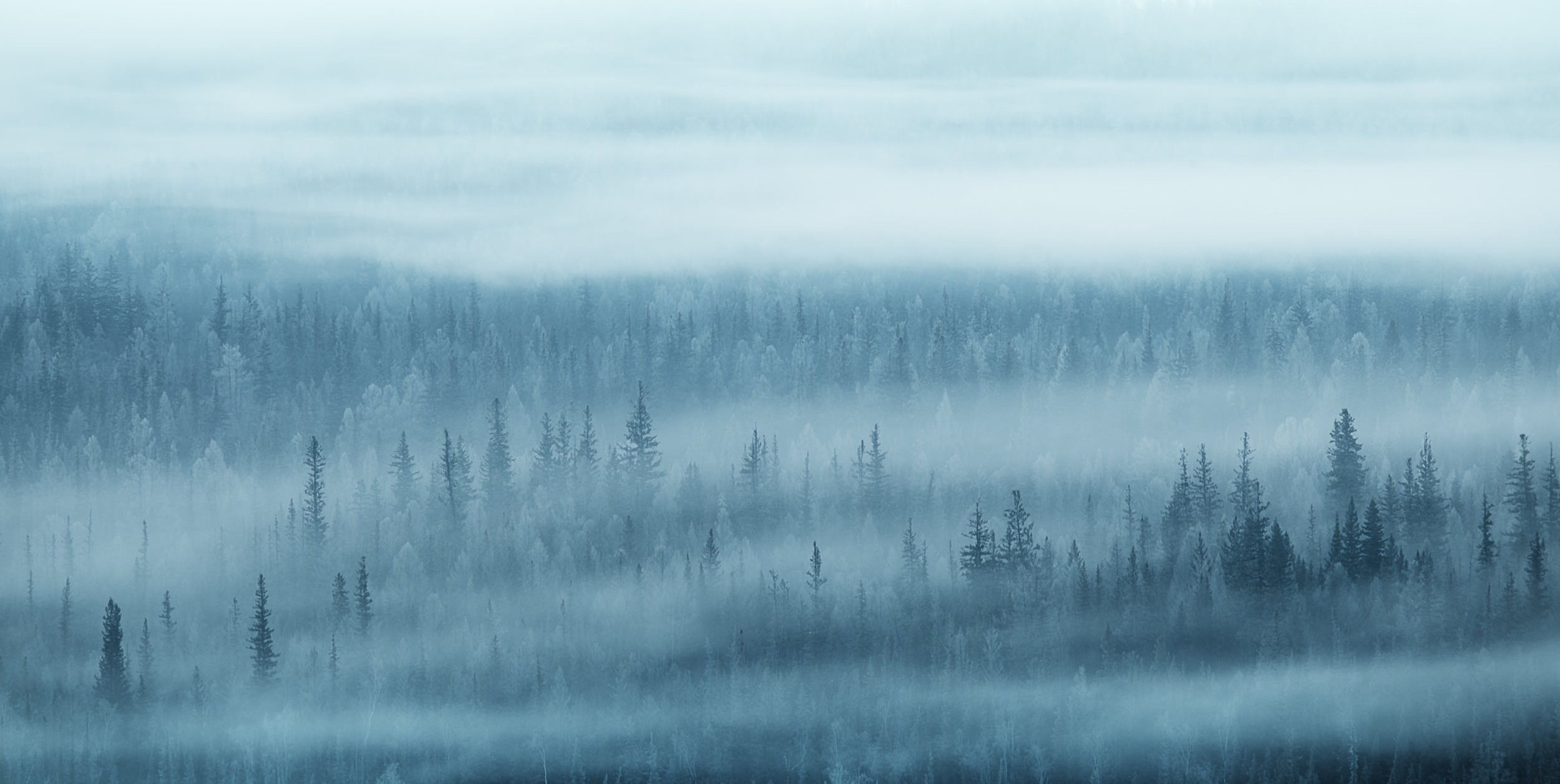 Пейзаж • Landscape. Елена Ивановой • Профессиональный фотограф