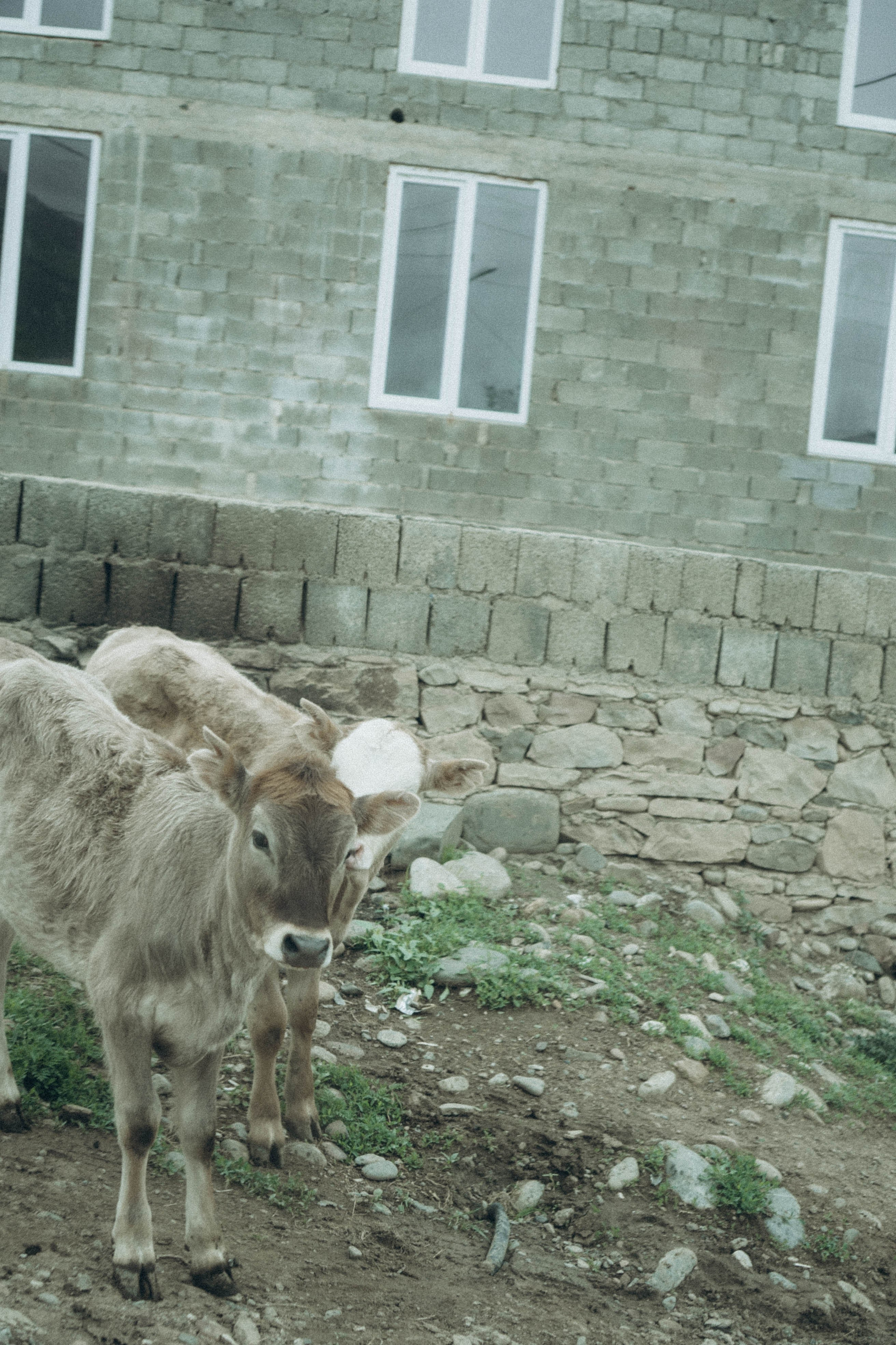 Кавказ. Профессиональный фотограф, Санкт-Петербург — Виктория Богомолова