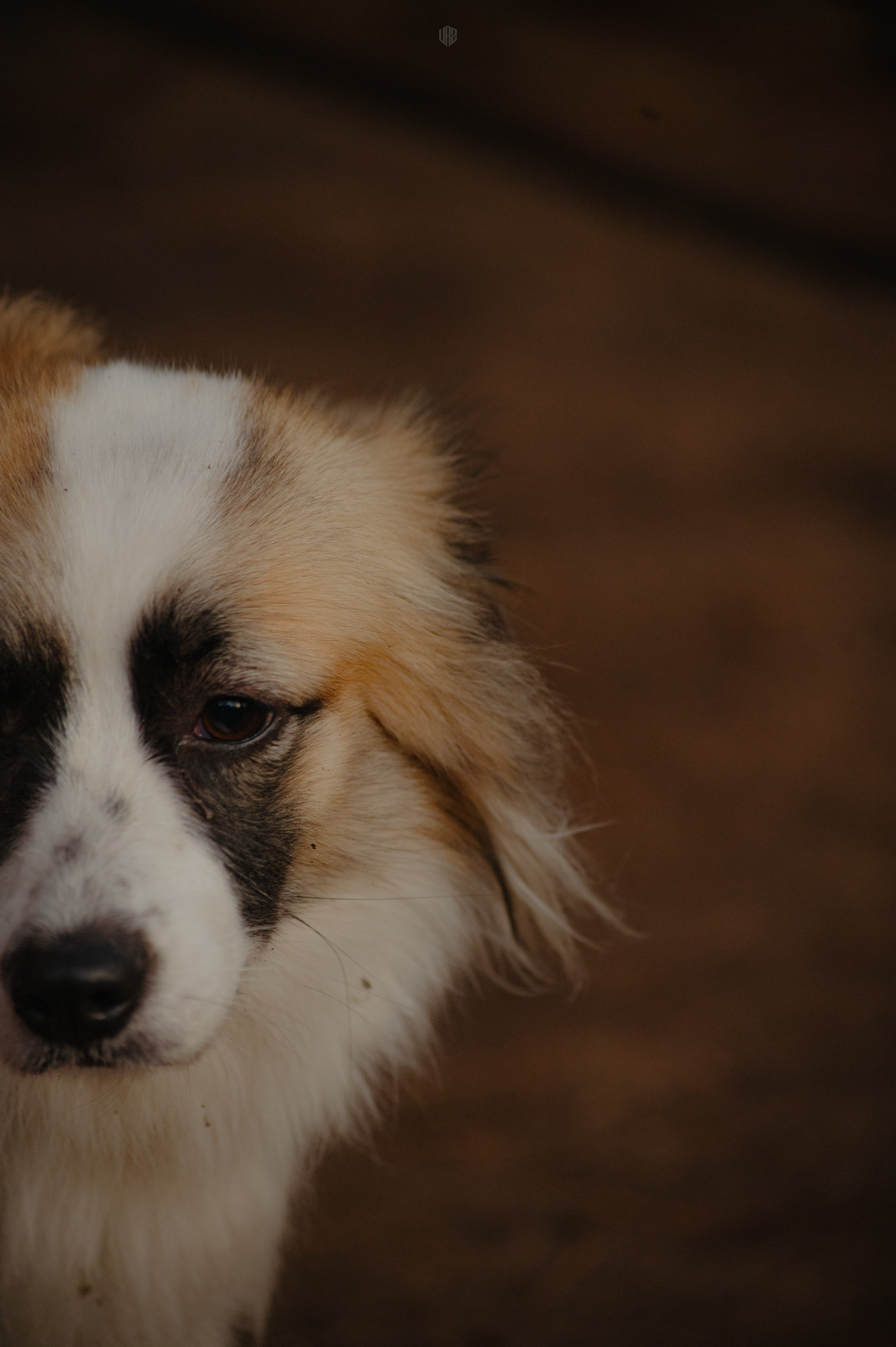 METADREAMS 2024. Контент фотограф Илья Урс