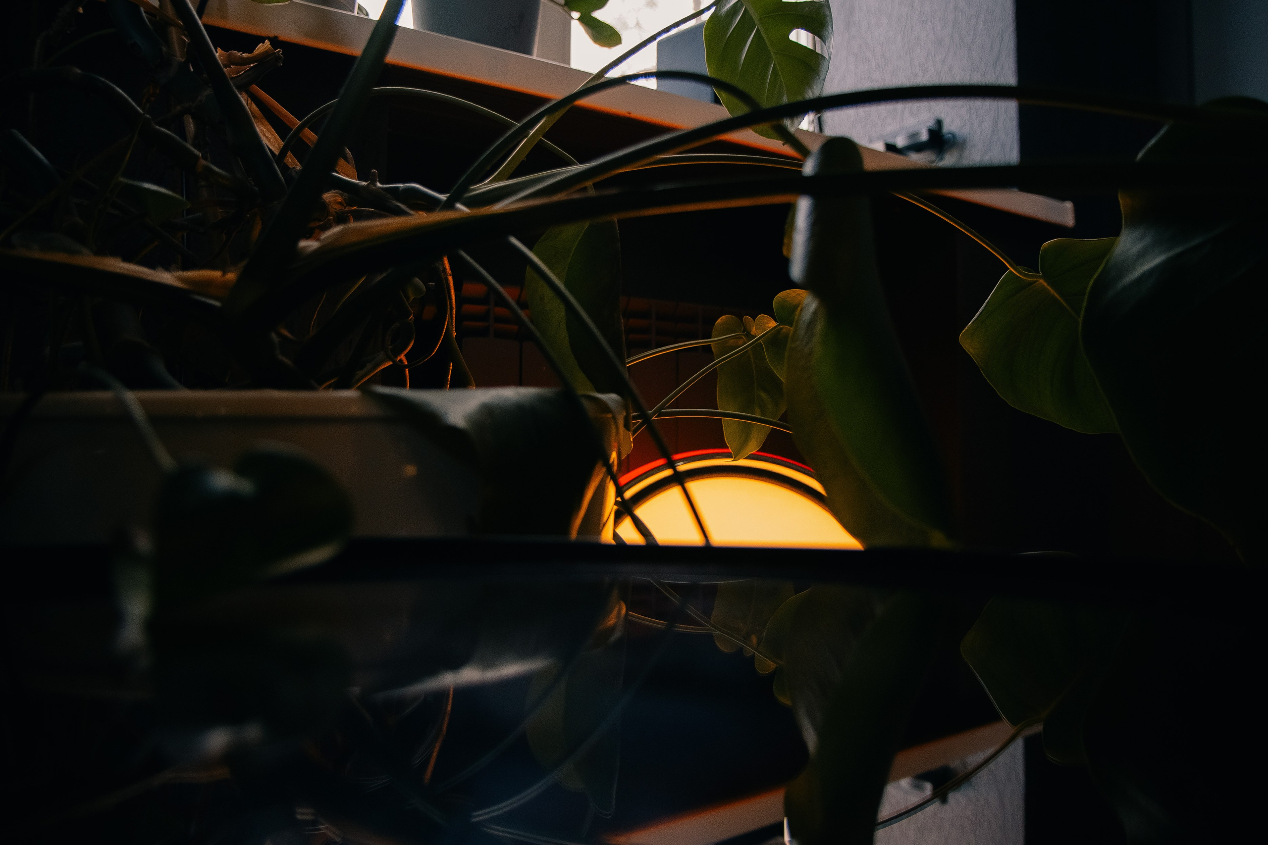 Мероприятия. Фотограф Егор Огородов