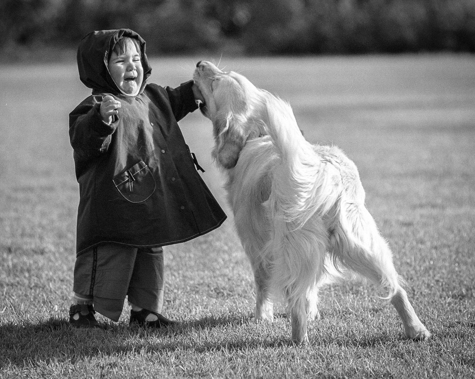 Свадебный фотограф в Геленджике