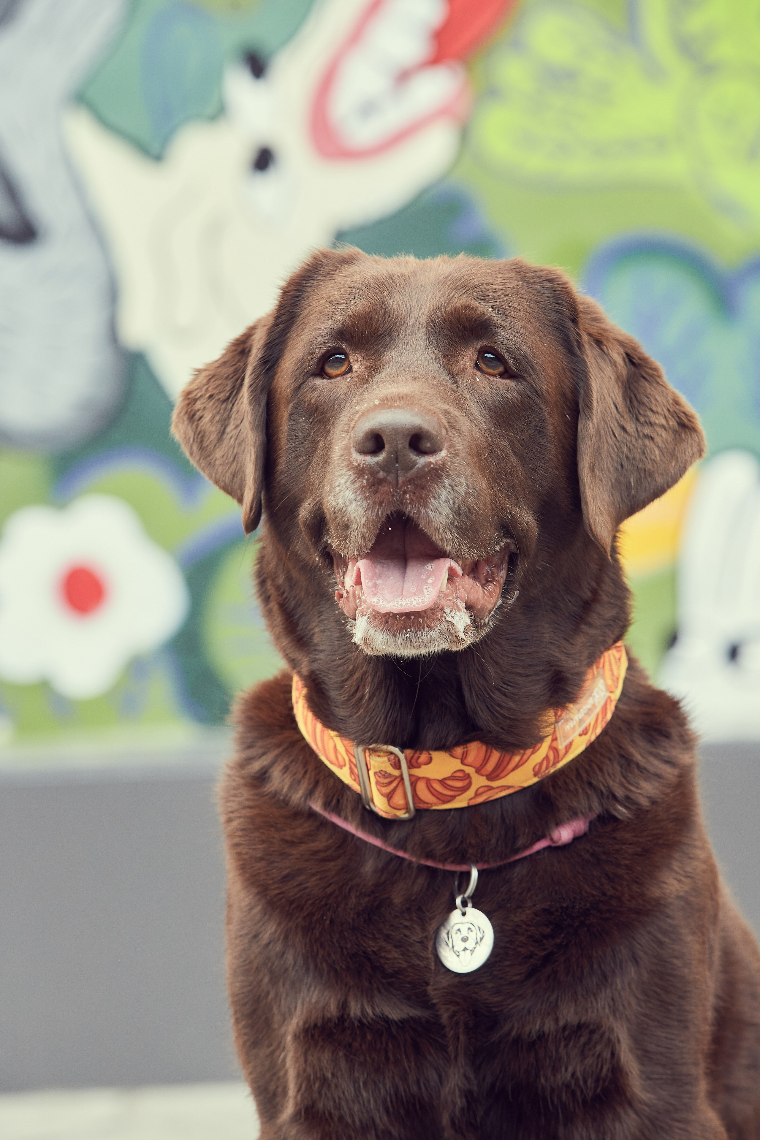 Портретная фотосессия Софы и питомцев. Екатерина Осипова — профессиональный фотограф в Москве