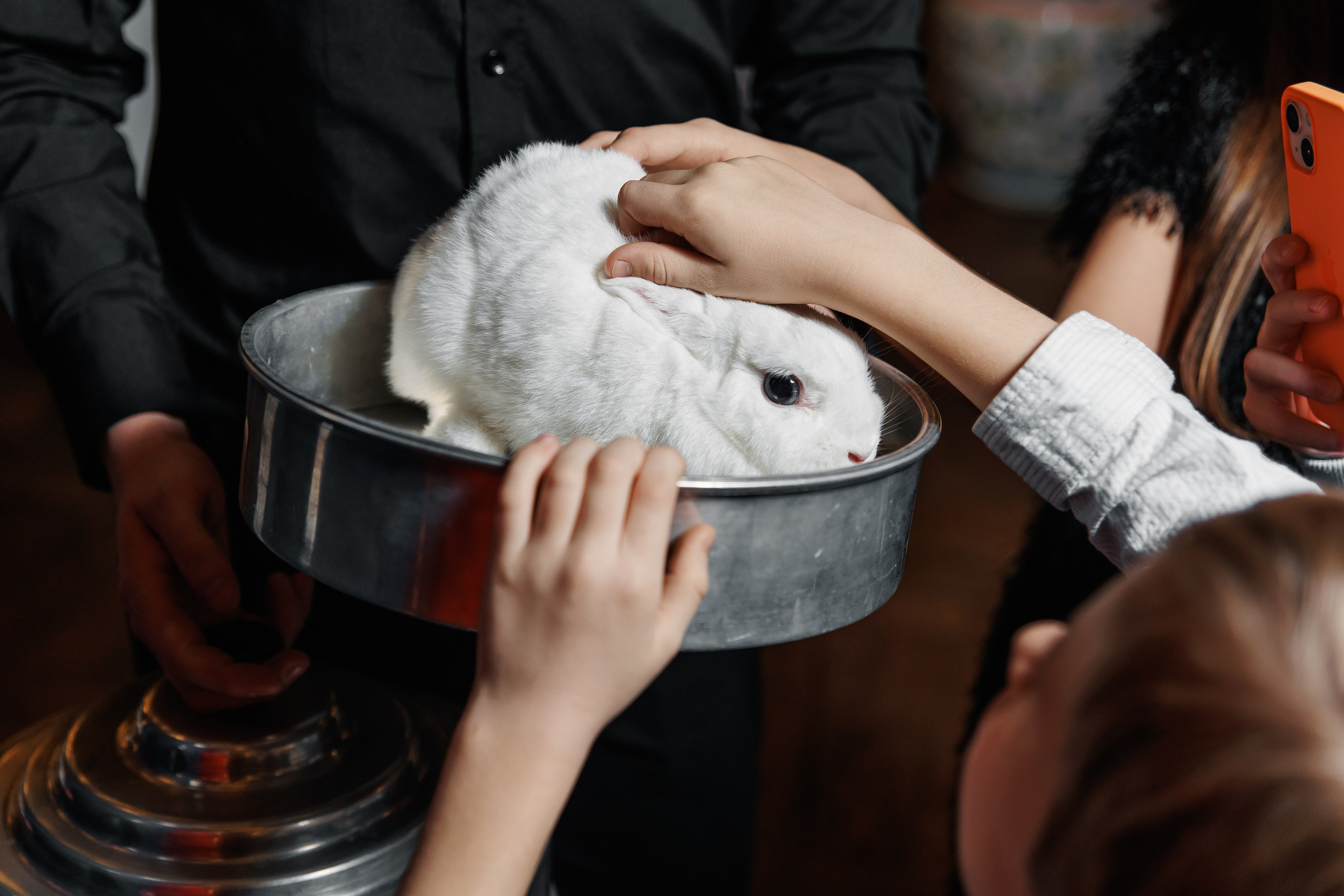 День Рождения. Репортажный фотограф. Москва. Алина Ланская