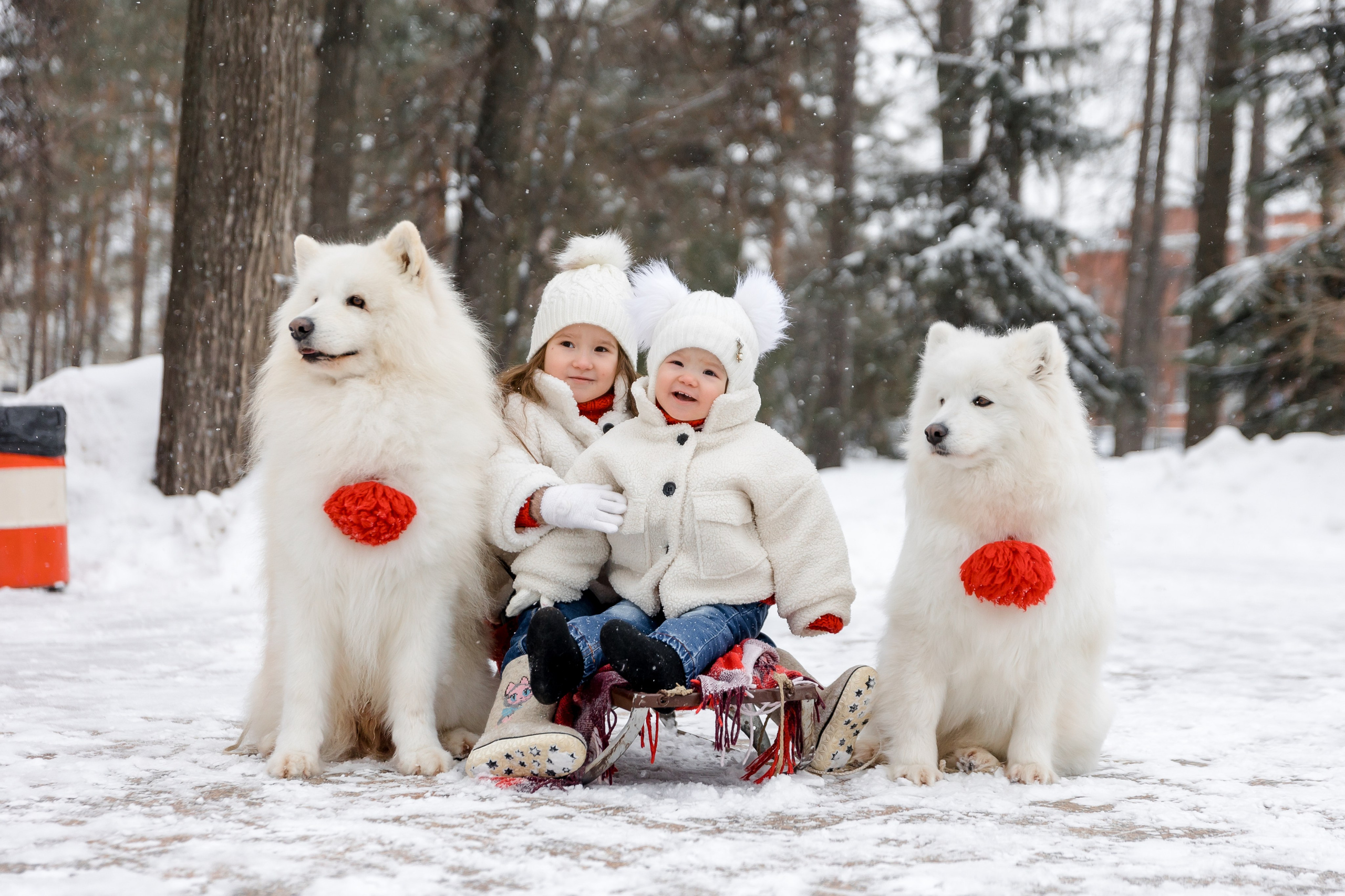 САМОЕДЫ. Свадебный и семейный фотограф Динар Гильмутдинов