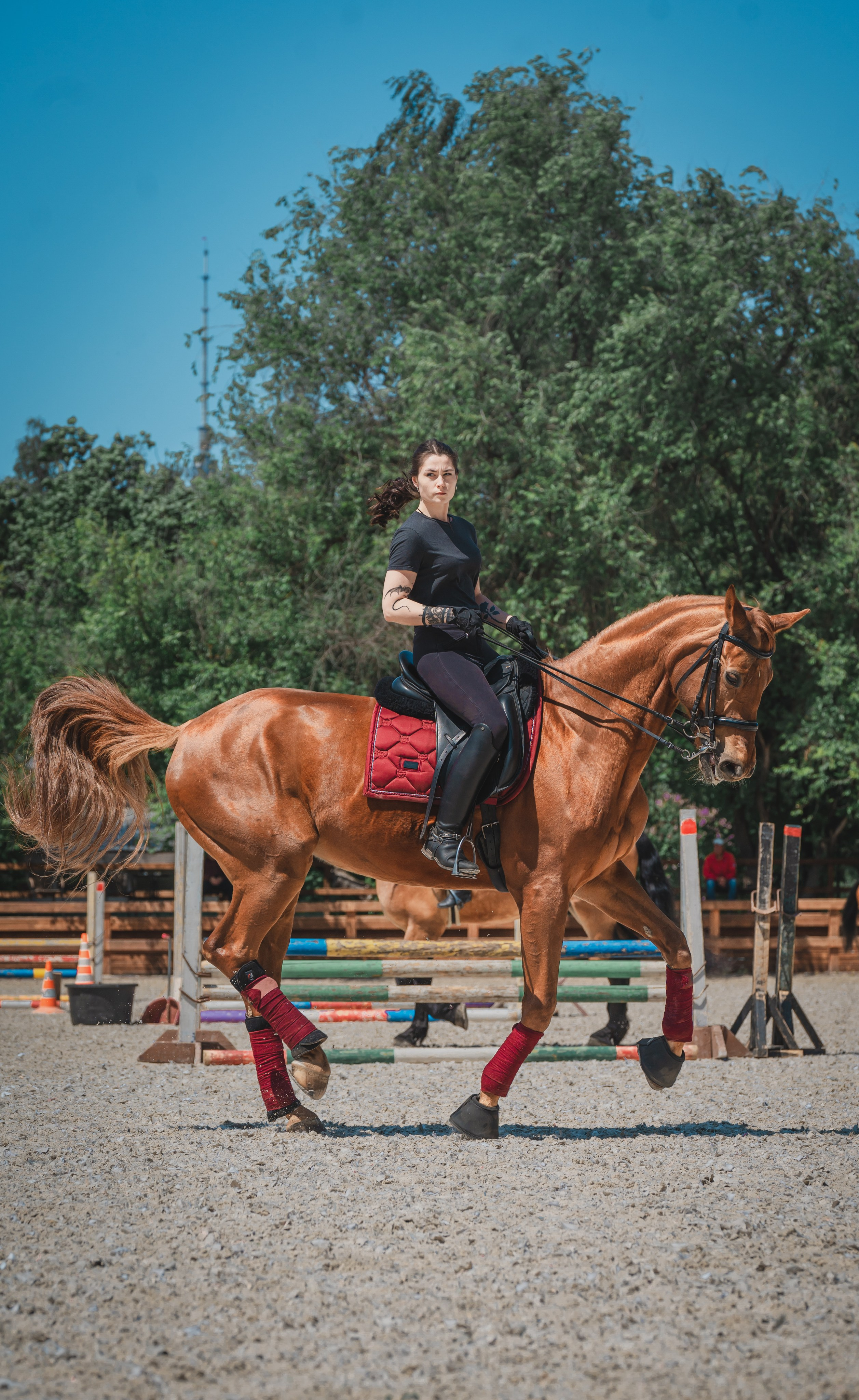 Валерия и Ланселот. Тренировка по выездке. КСК «Урожай». Фотограф в Москве Ленарская Дарья