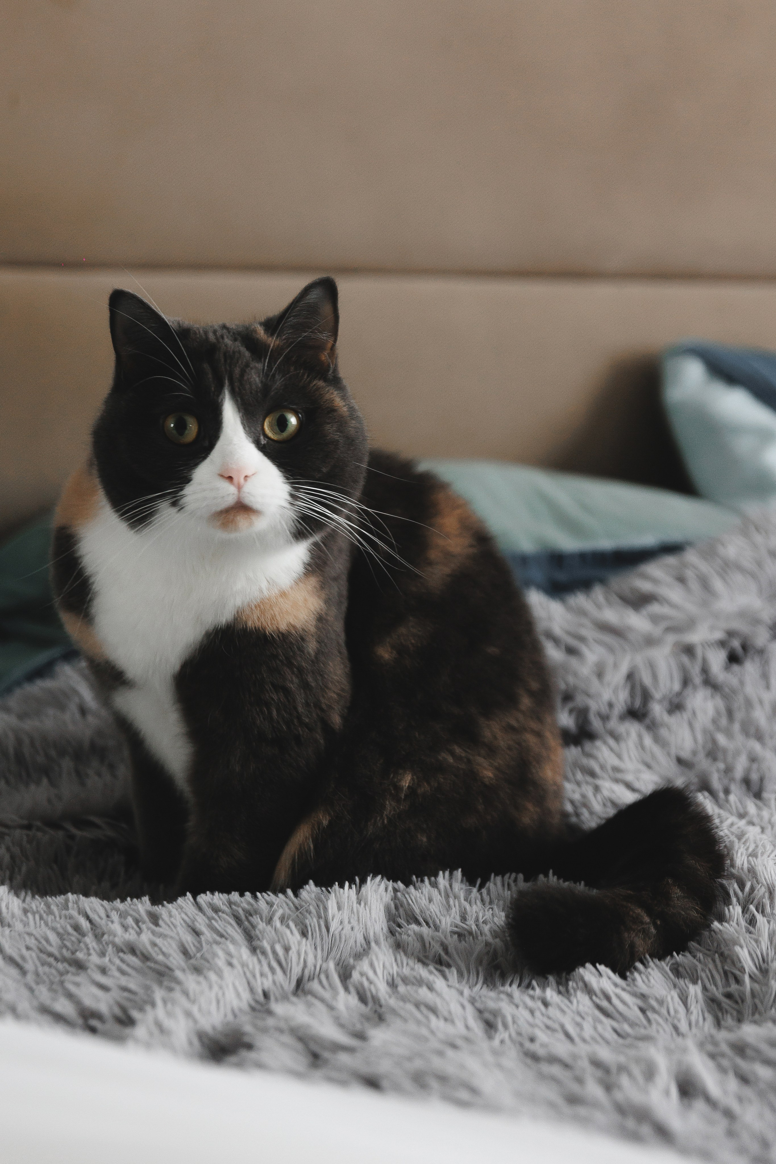 Кристина & Илья. Свадебный и репортажный фотограф Калининград