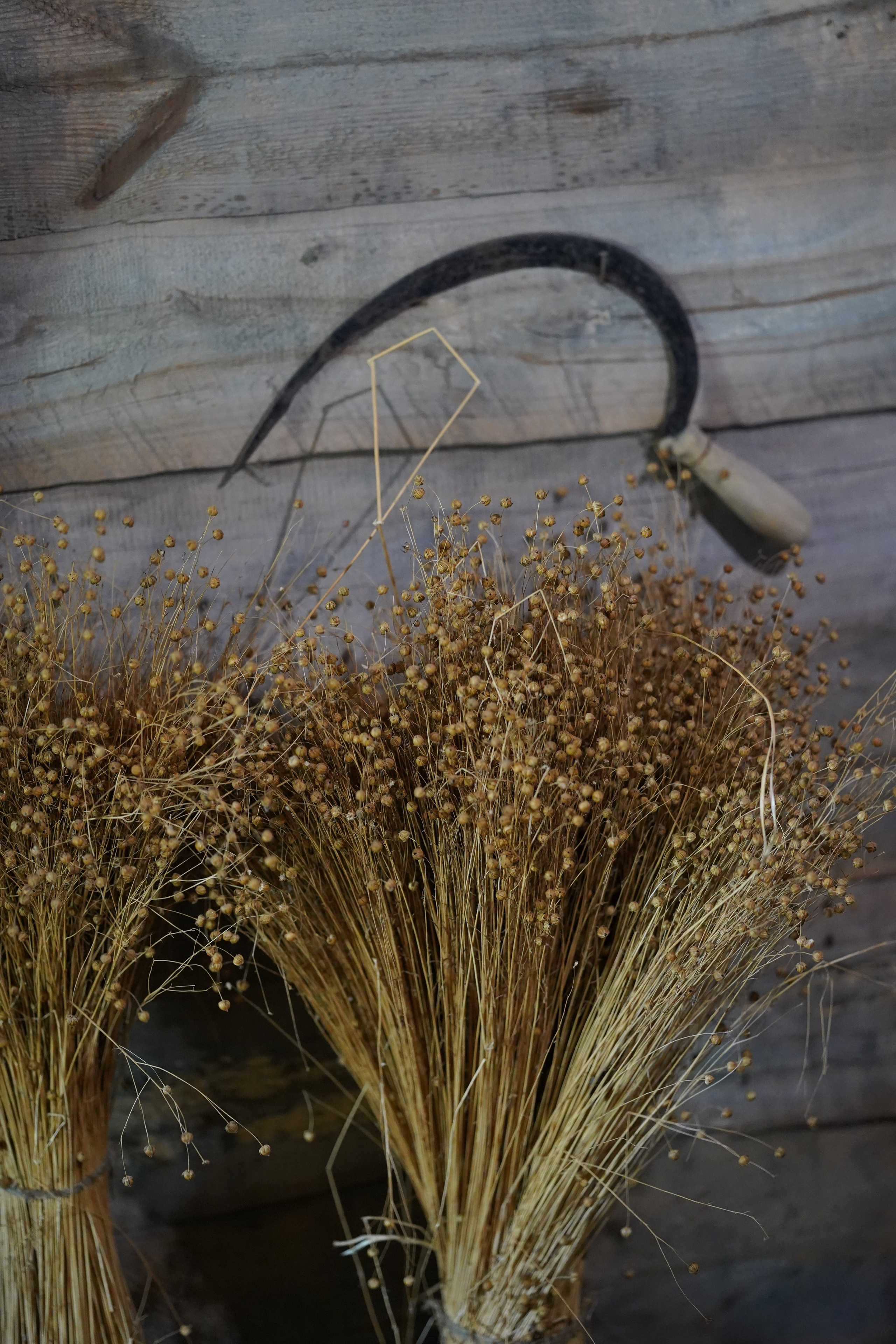 Суздаль Пейзаж. Фотограф в Москве Мария ~Zagagul~