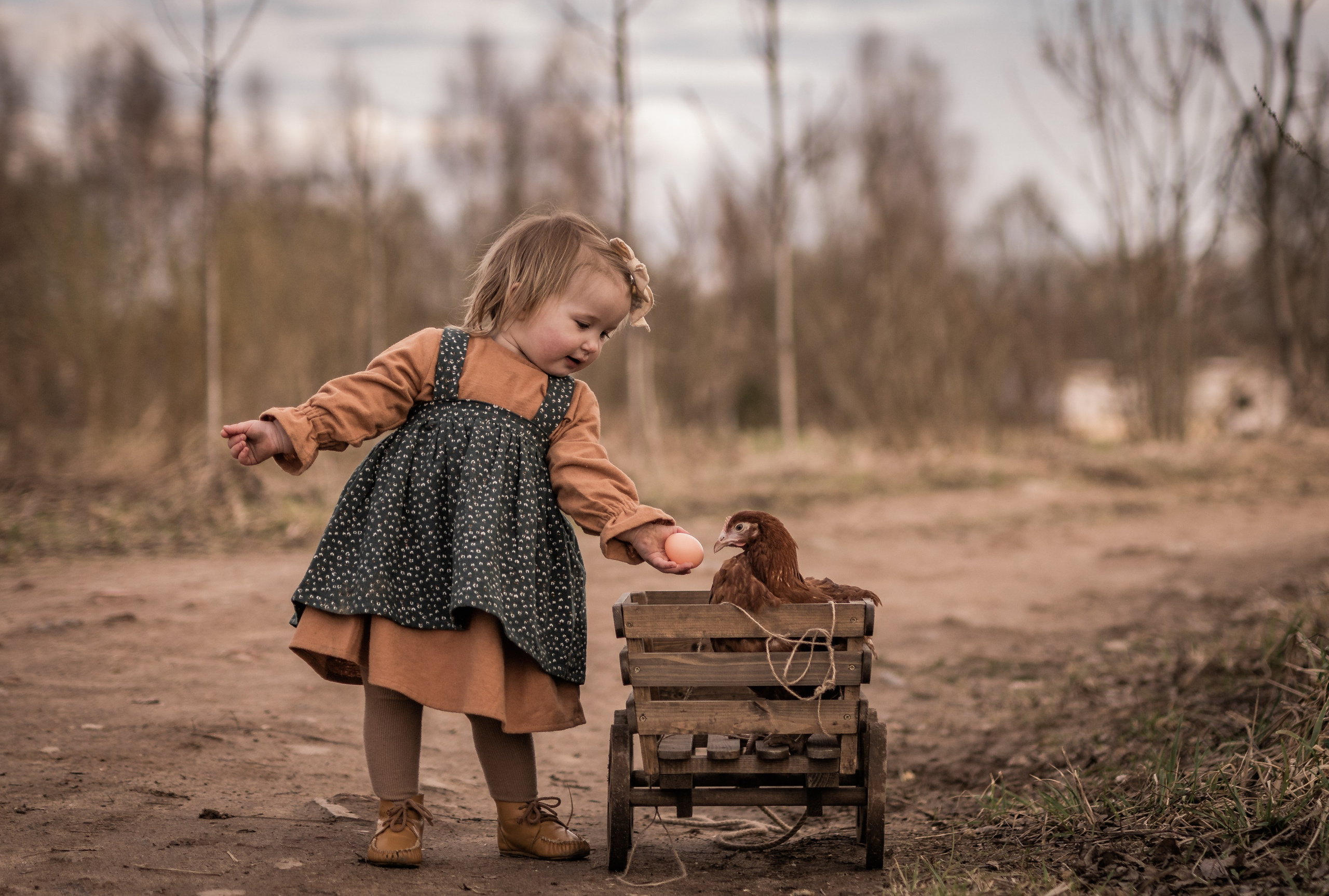 Куриная история. Семейный фотограф Ефремова Виктория