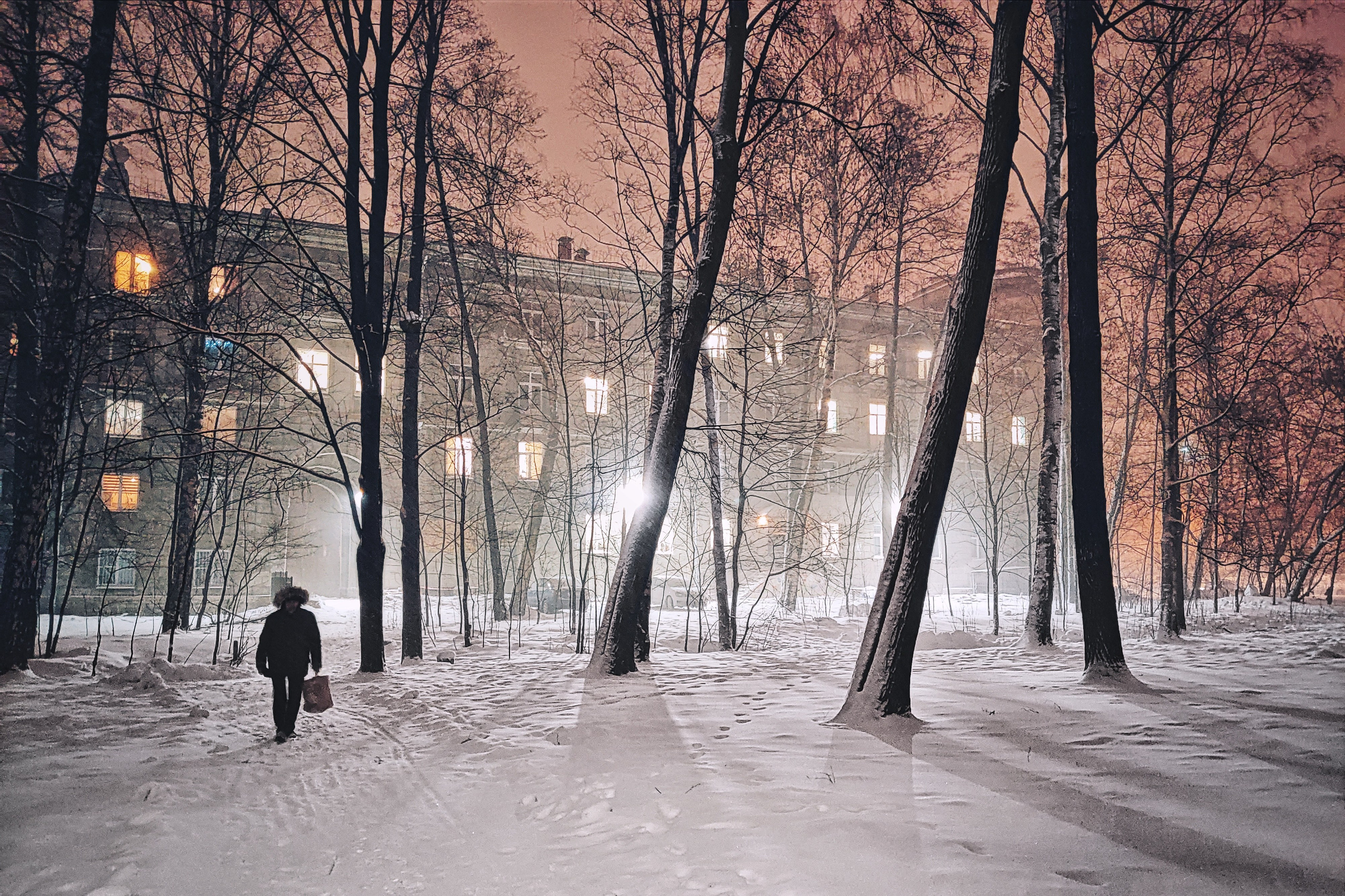 Winter. Dmitry Shamin Photographier | Street Photos
