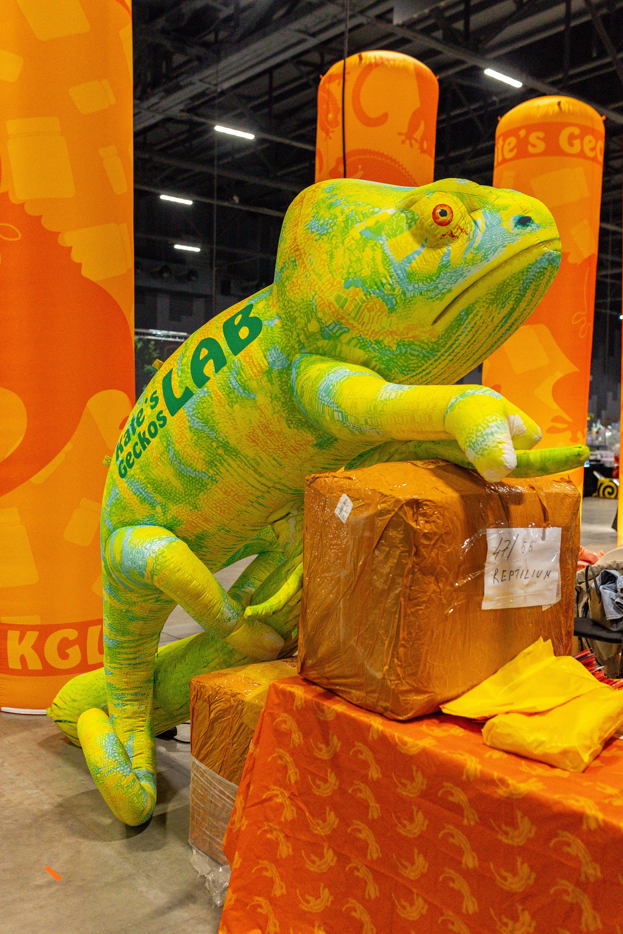 Рептилиум июнь 2025. Александра Куликова фотограф, Москва