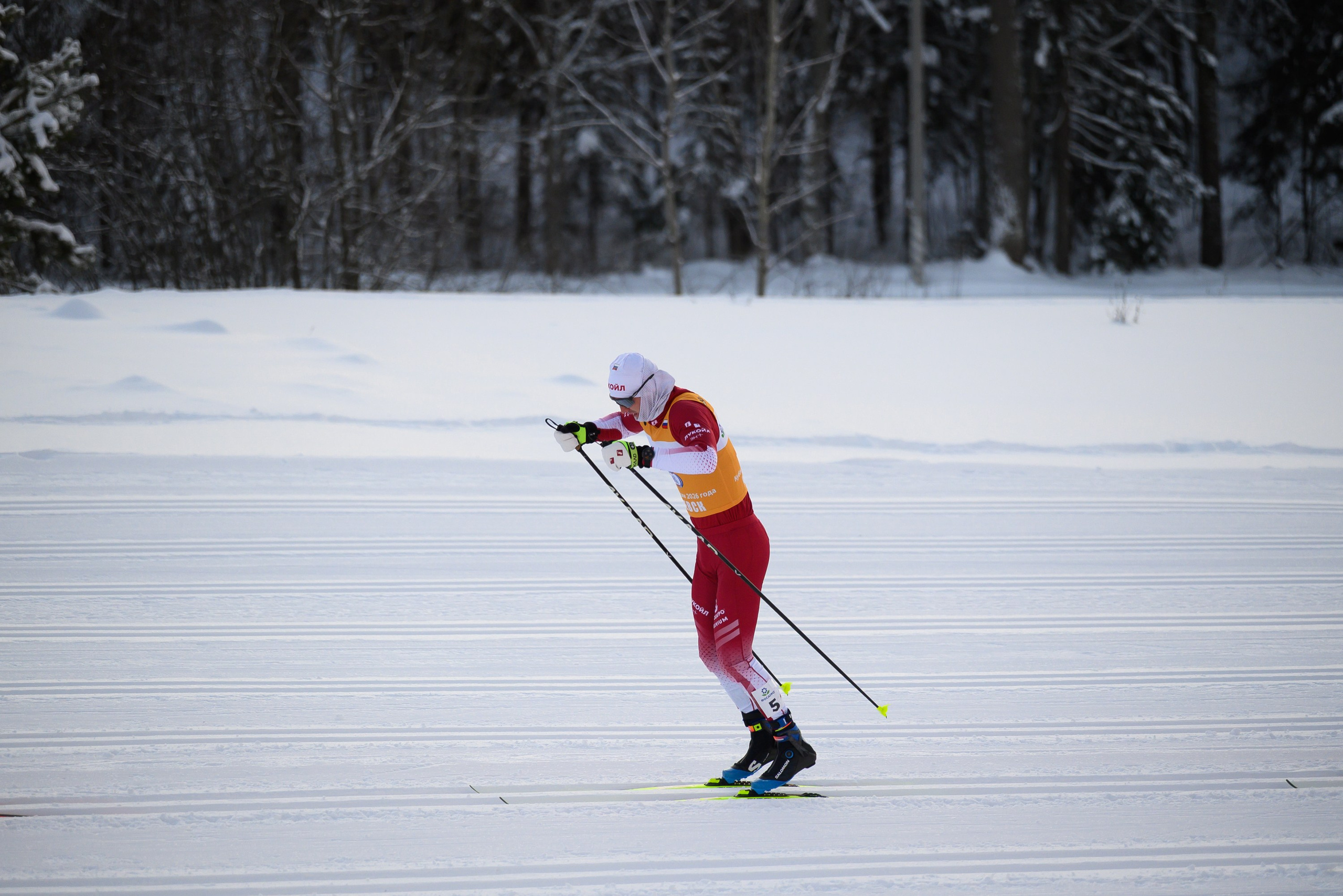 Лыжные гонки. Свадебный фотограф Ижевск Петр Шишков
