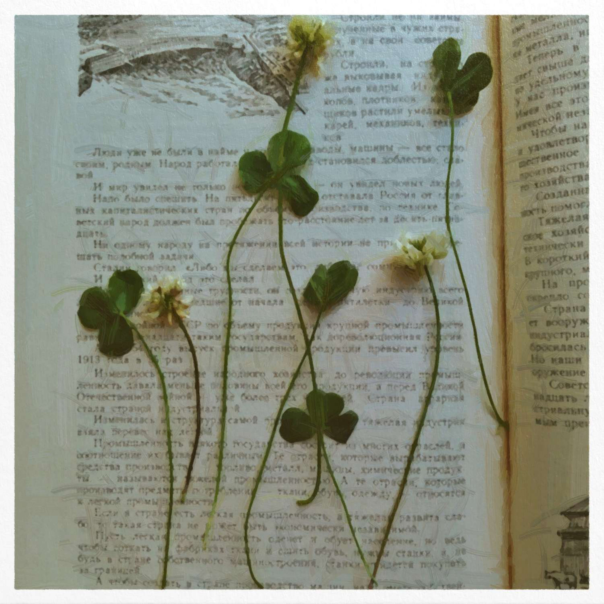 Юля Сидорова