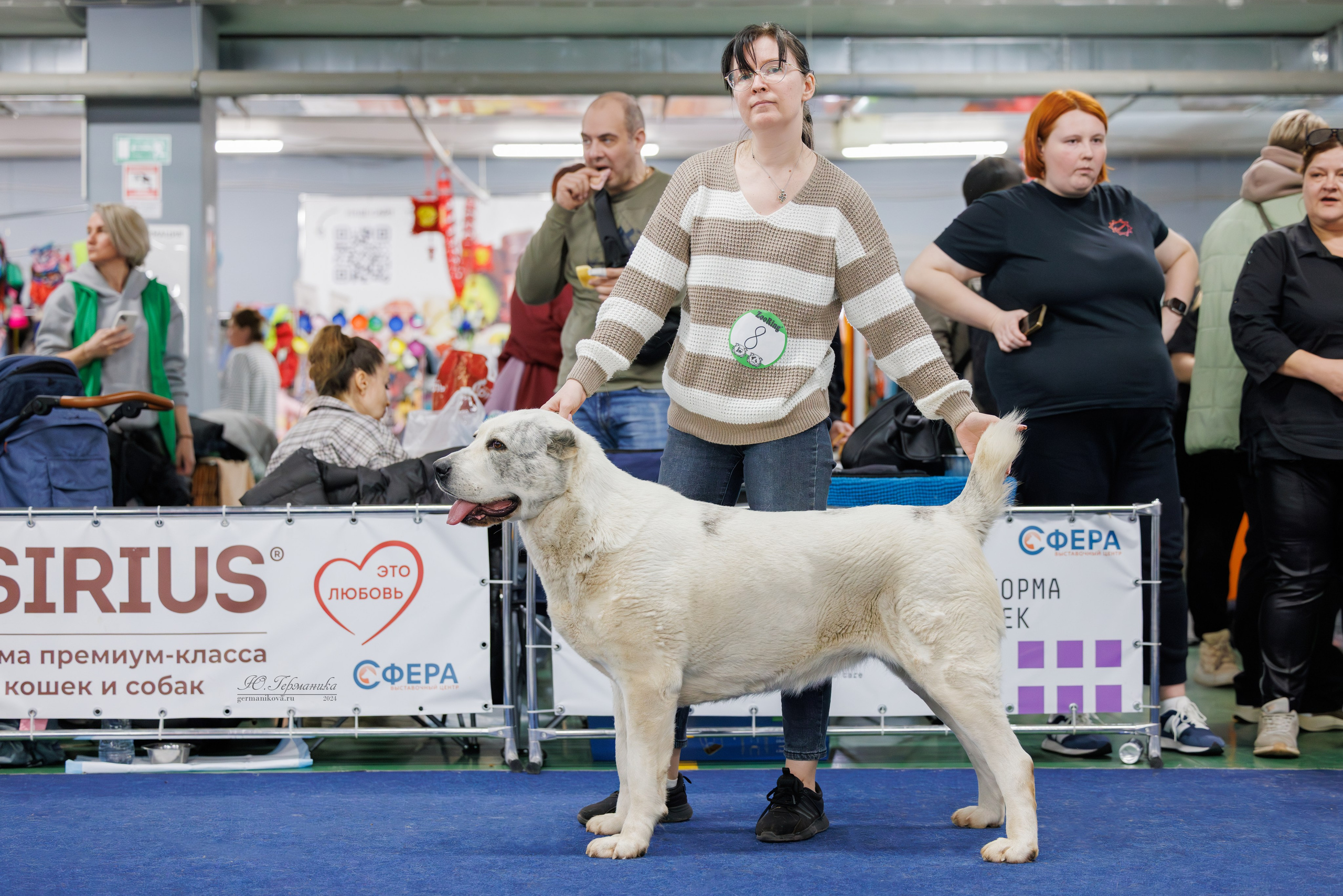Сфера и Крокус 8,9,16 и 30.03.2025. Фотограф-анималист Юлия Германика