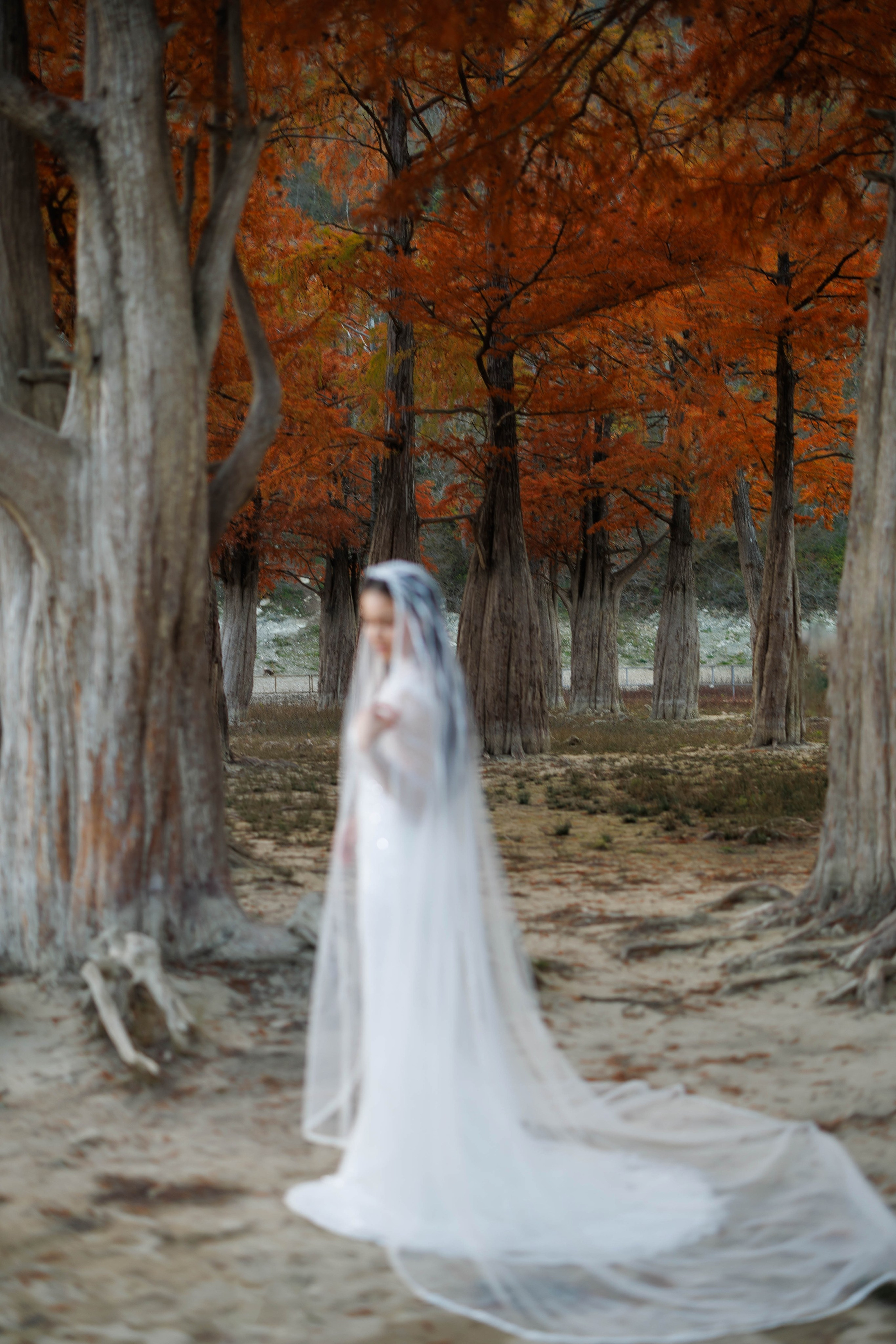 Обжигающая нежность. Аксанна Аракелян